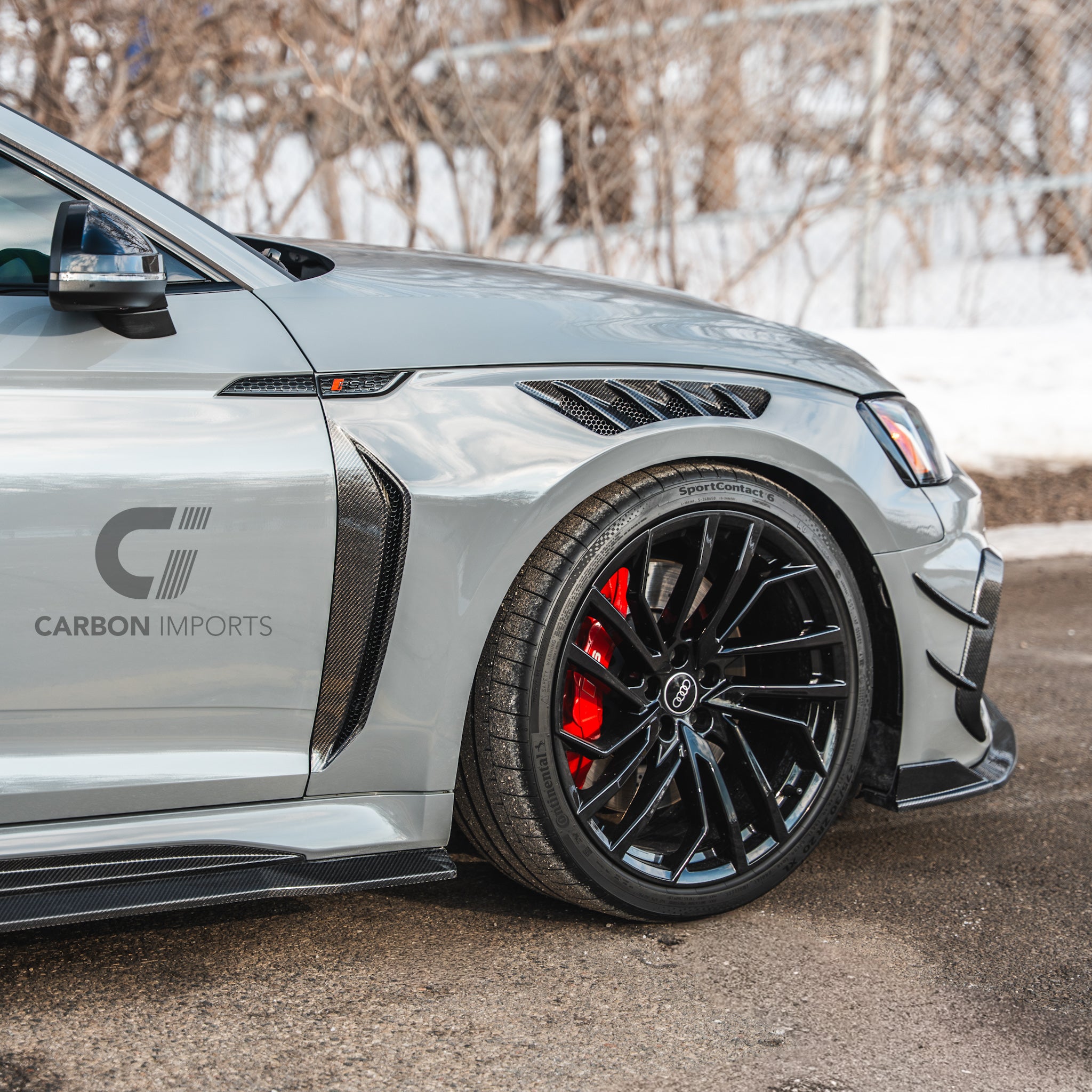 Audi RS5 B9/B9.5 Carbon Fiber Fenders 2017-2025