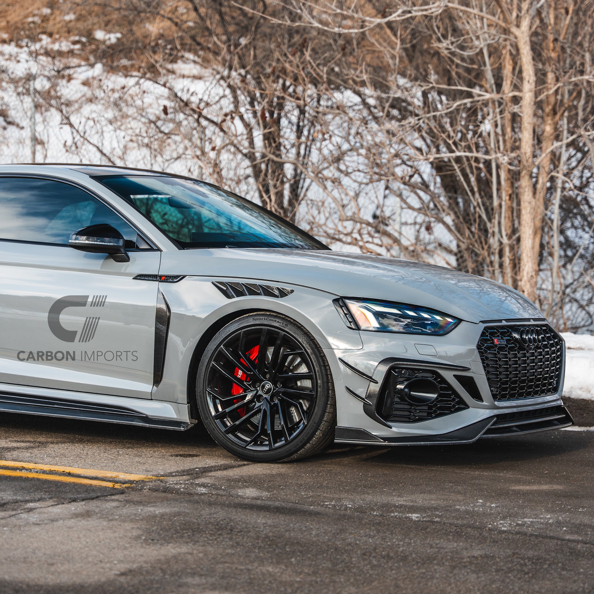 Audi RS5 B9/B9.5 Carbon Fiber Fenders 2017-2025
