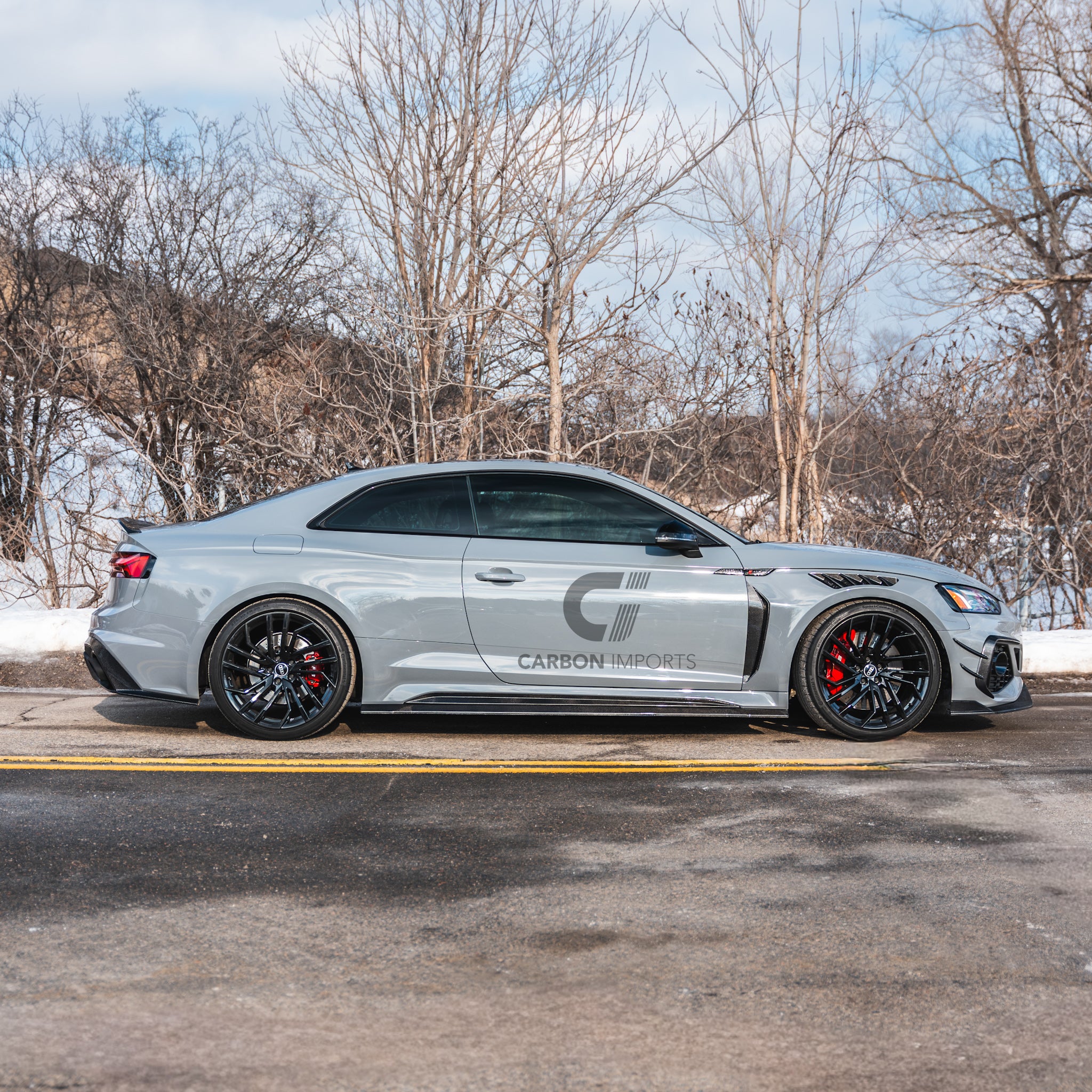 Audi RS5 B9/B9.5 Carbon Fiber Fenders 2017-2025