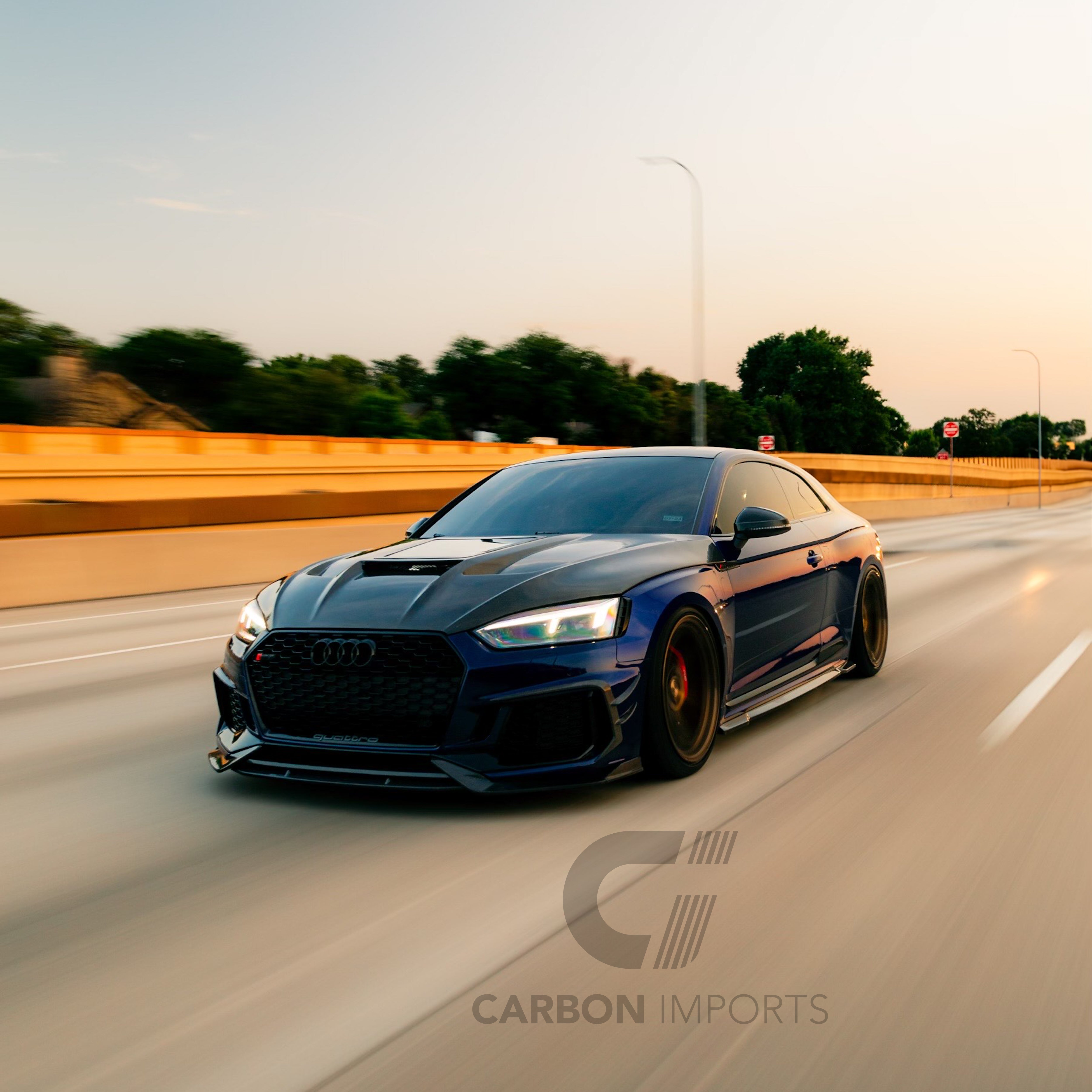 Audi RS5 B9 Carbon Fiber Side Skirts 2017-2019