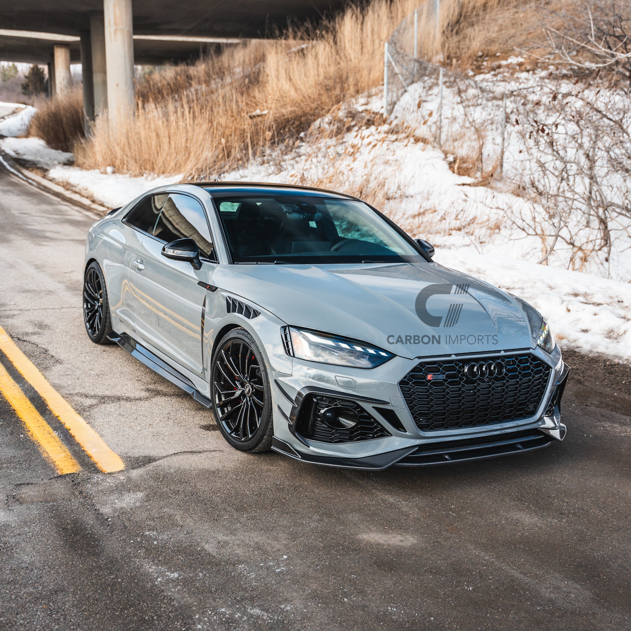 Audi RS5 B9/B9.5 Carbon Fiber Fenders 2017-2025