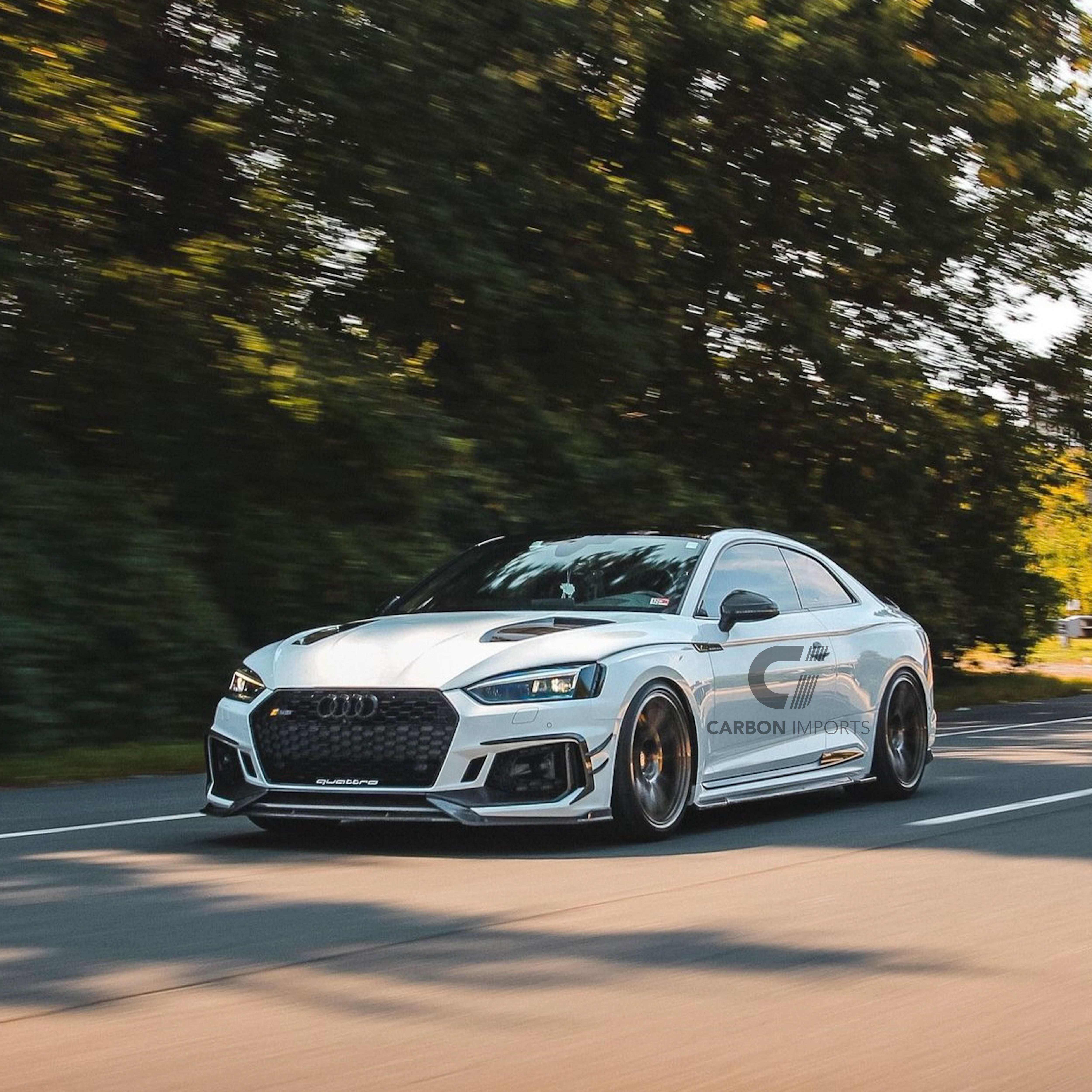 Audi RS5 B9 Carbon Fiber Front Lip 2017-2019
