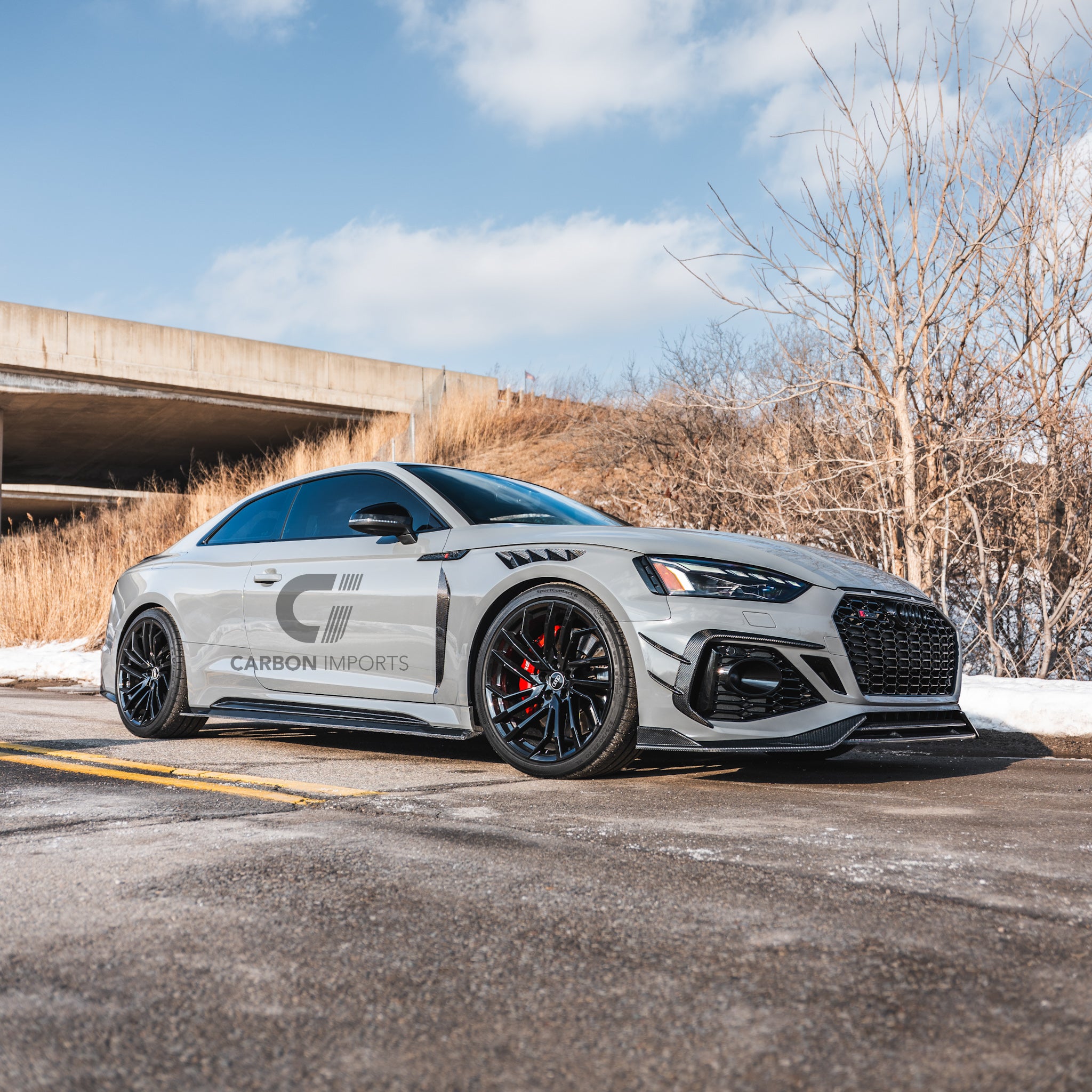 Audi RS5 B9/B9.5 Carbon Fiber Fenders 2017-2025
