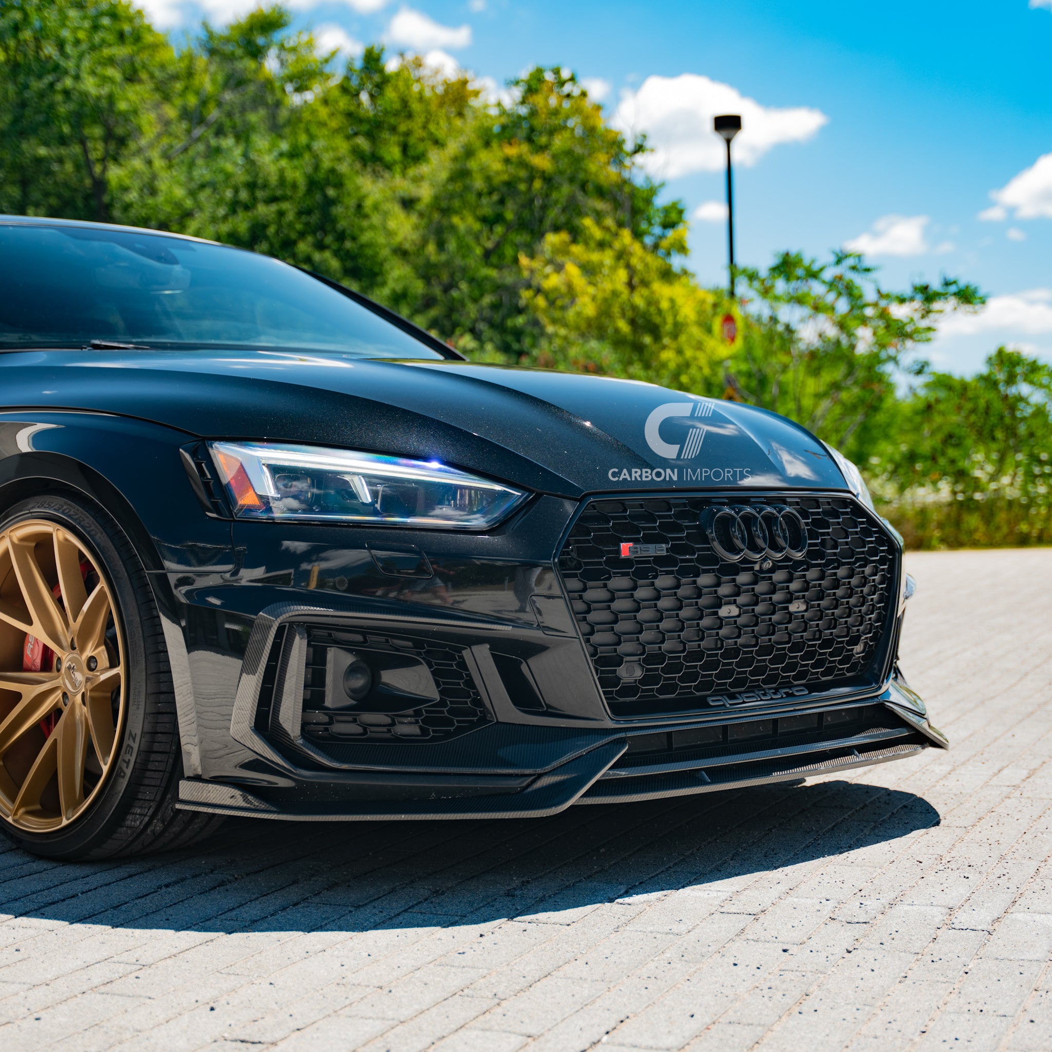 Audi RS5 B9 Carbon Fiber Fog Canards 2017-2019 V2