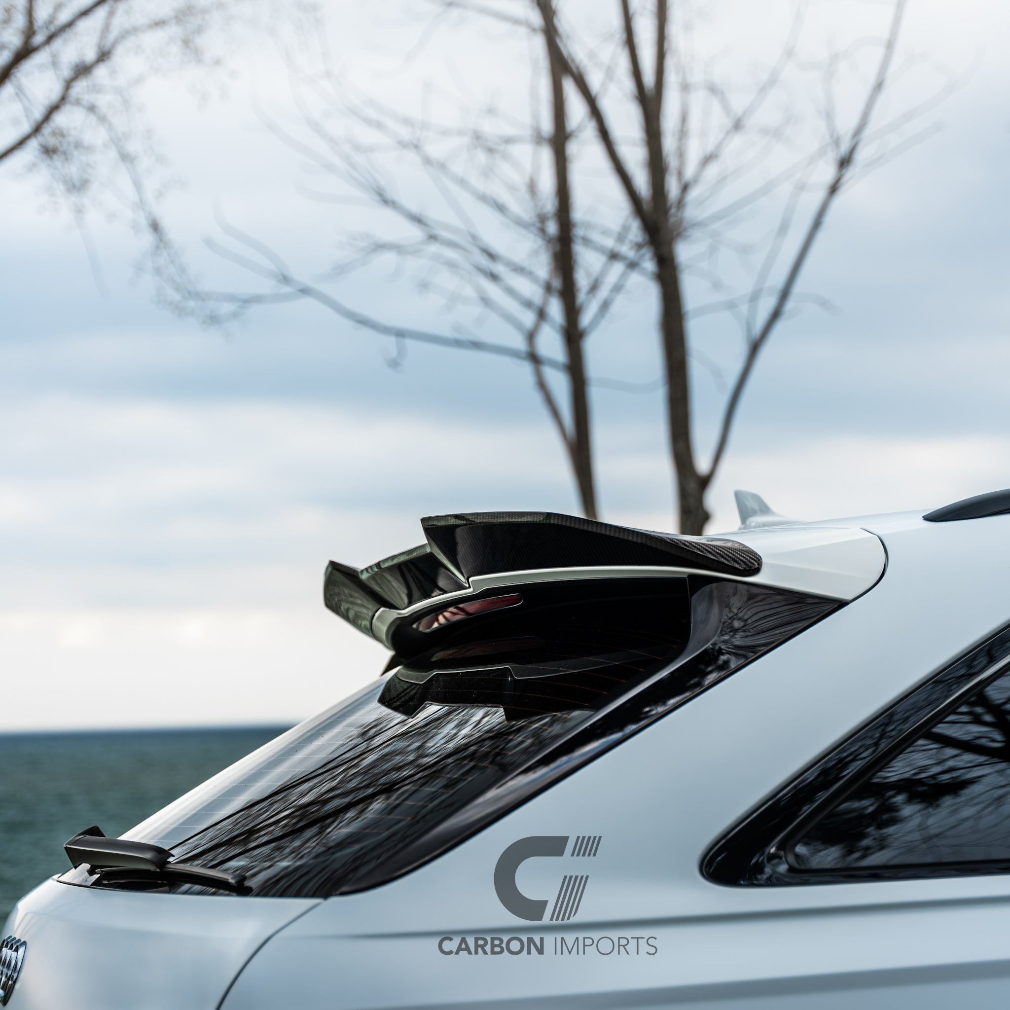 Audi RS6 C8 Carbon Fiber Roof Spoiler 2020-2026