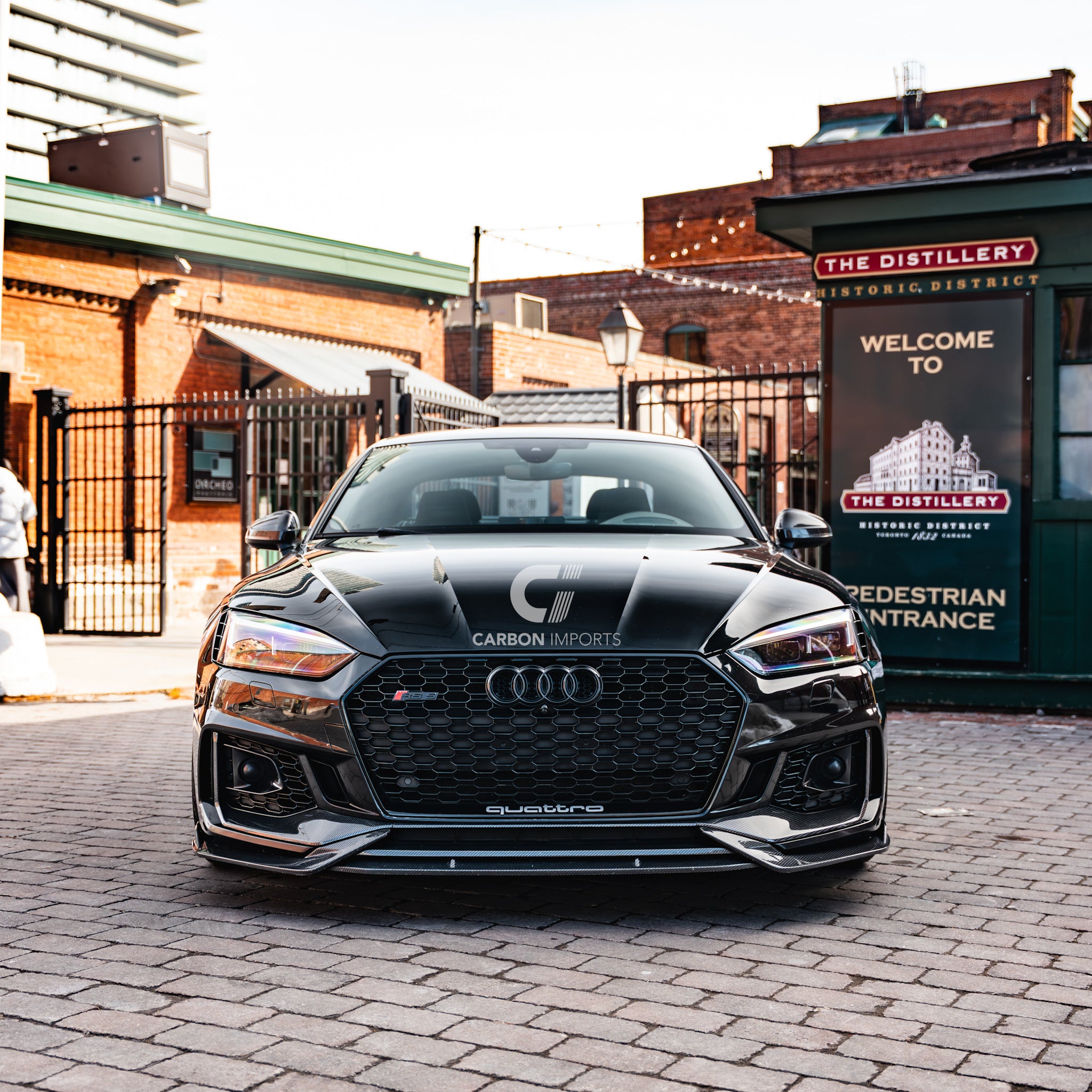 Audi RS5 B9 Carbon Fiber Front Bumper Trim 2017-2019