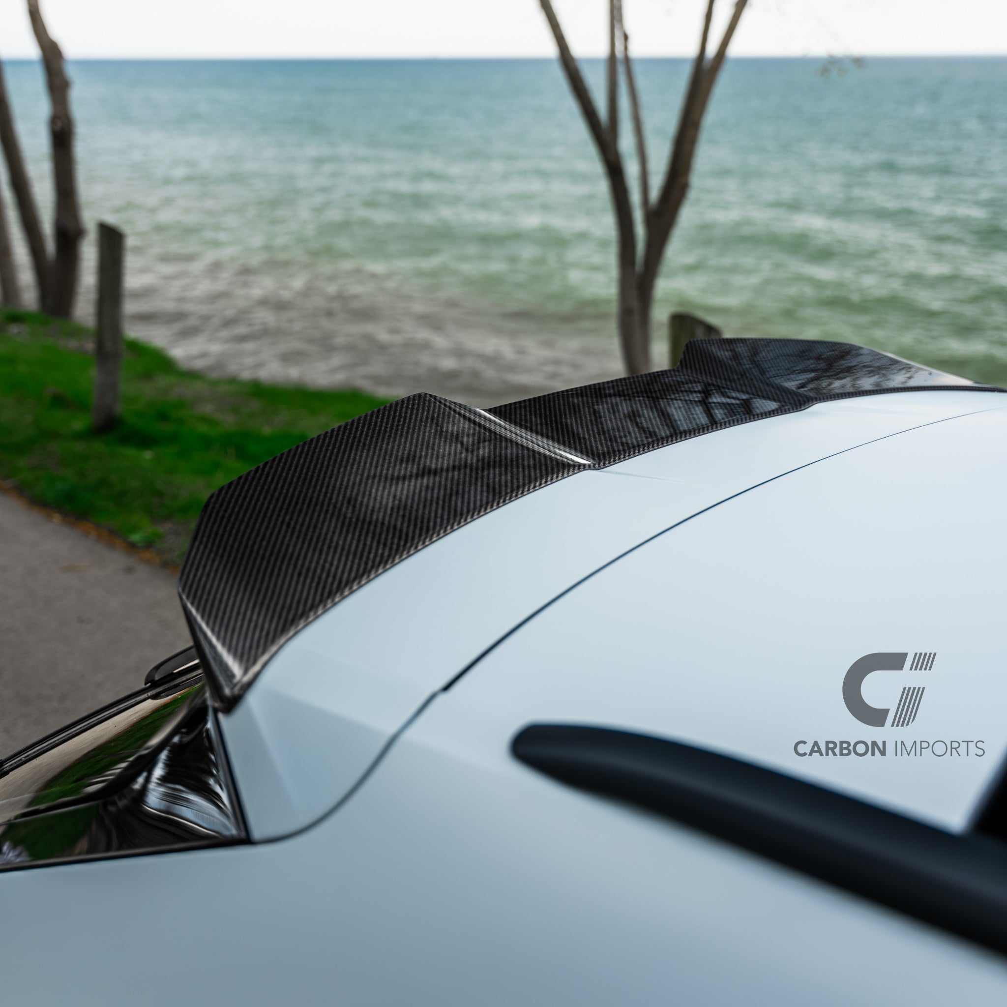 Audi RS6 C8 Carbon Fiber Roof Spoiler 2020-2026