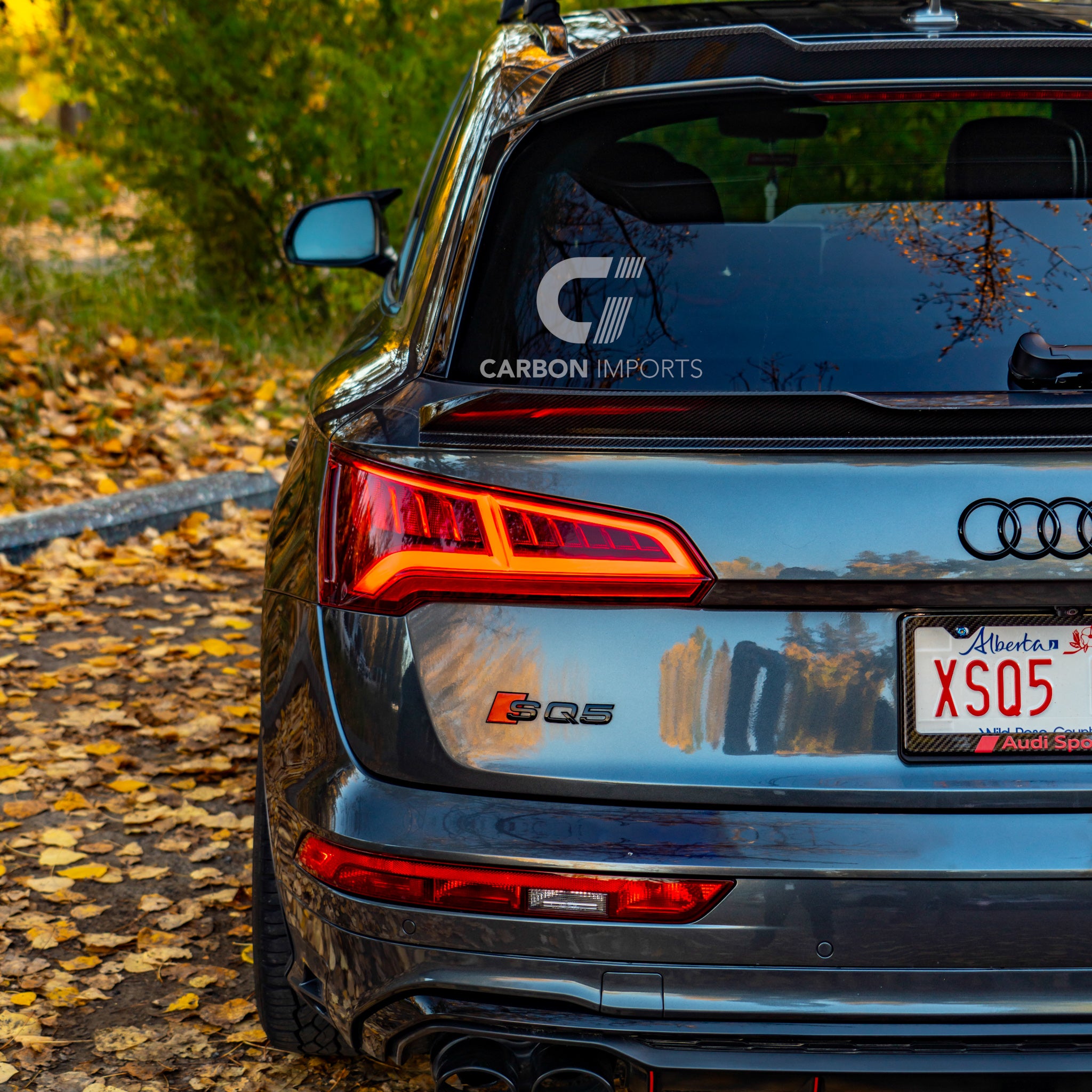 Audi Q5 S-Line/ SQ5 Carbon Fiber Roof Spoiler 2018-2023