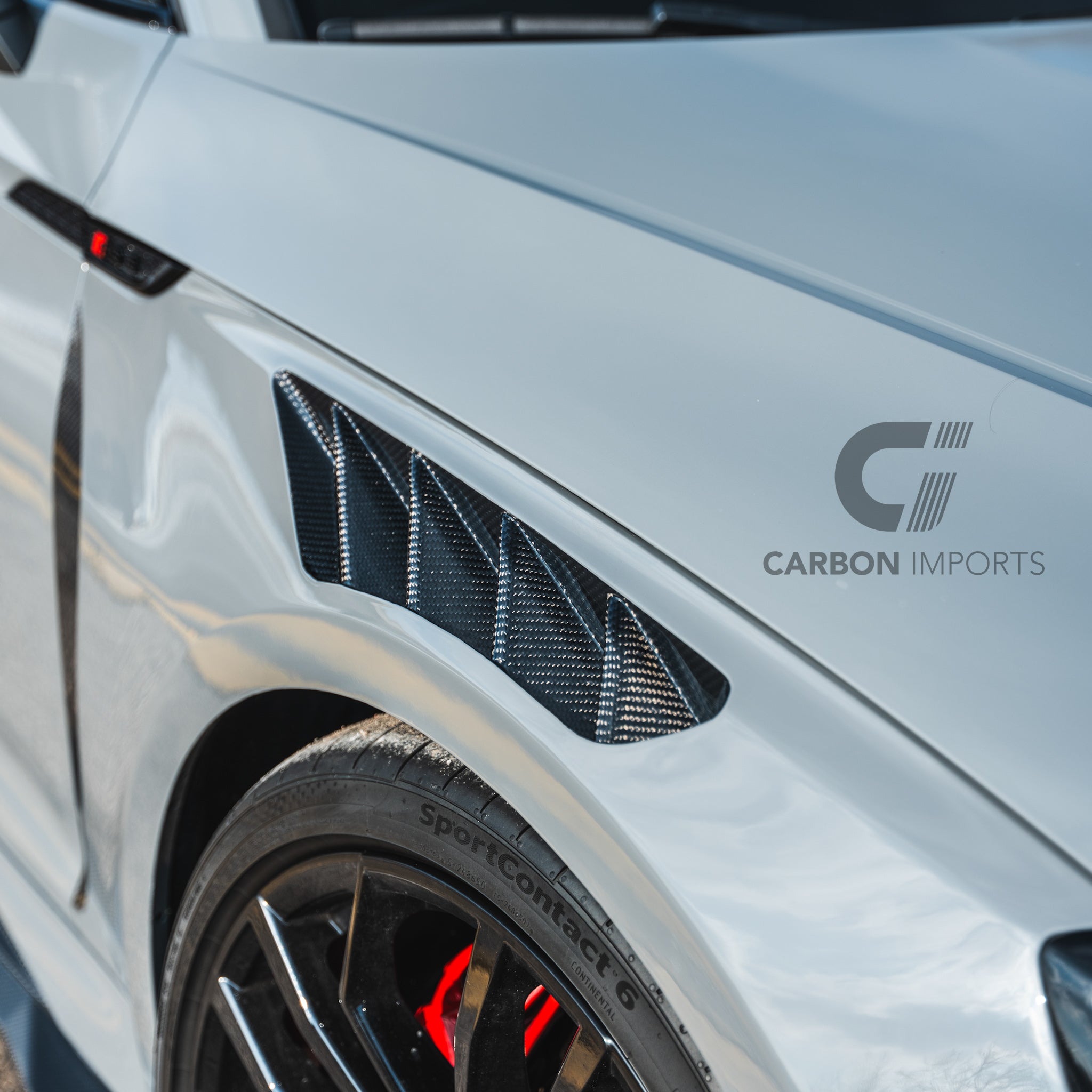 Audi RS5 B9/B9.5 Carbon Fiber Fenders 2017-2025