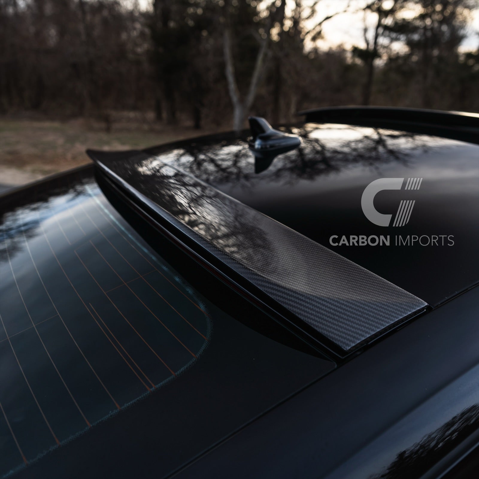Audi A5/S5/RS5 B9/B9.5 Carbon Fiber Roof Spoiler 2017-2025 V1