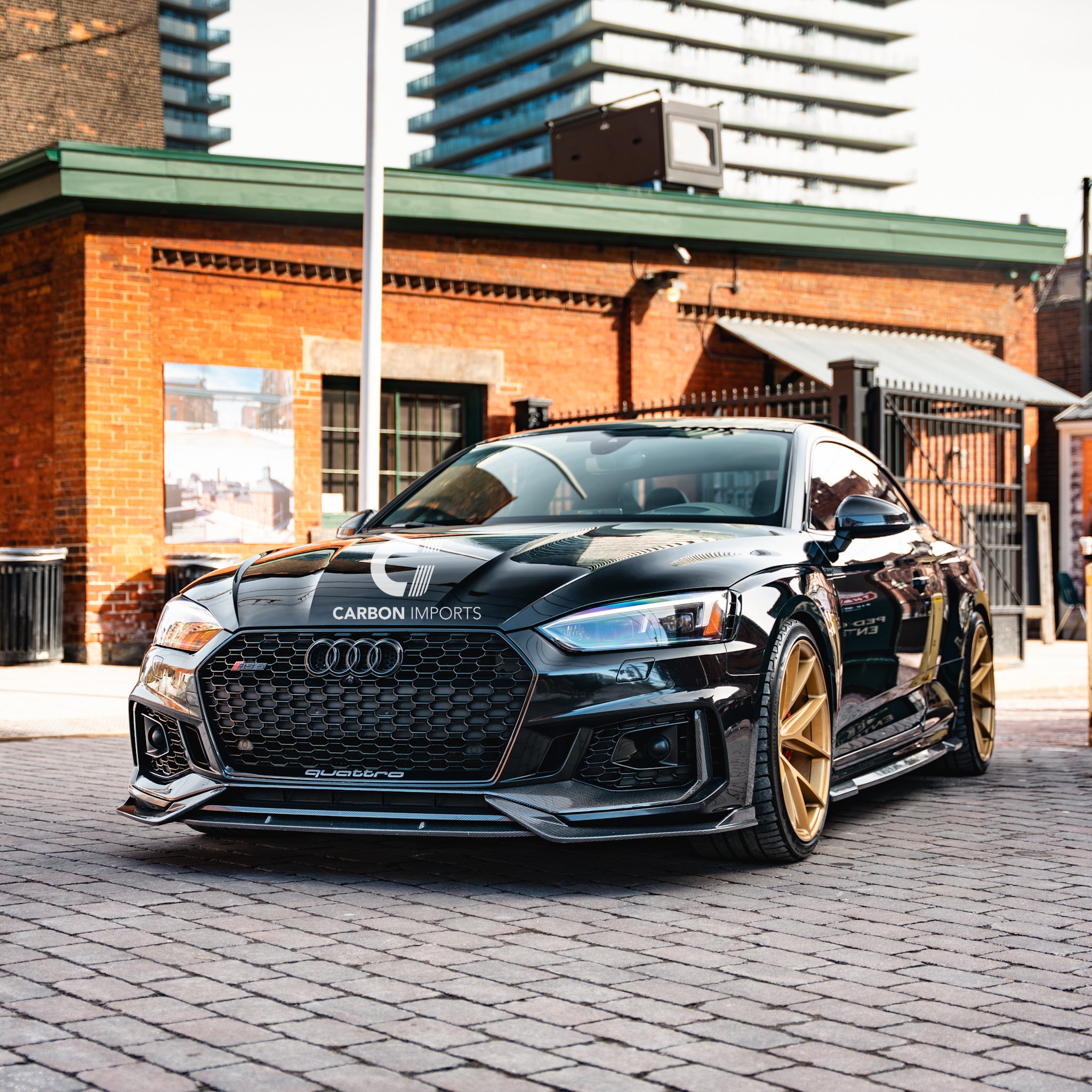Audi RS5 B9 Carbon Fiber Front Bumper Trim 2017-2019