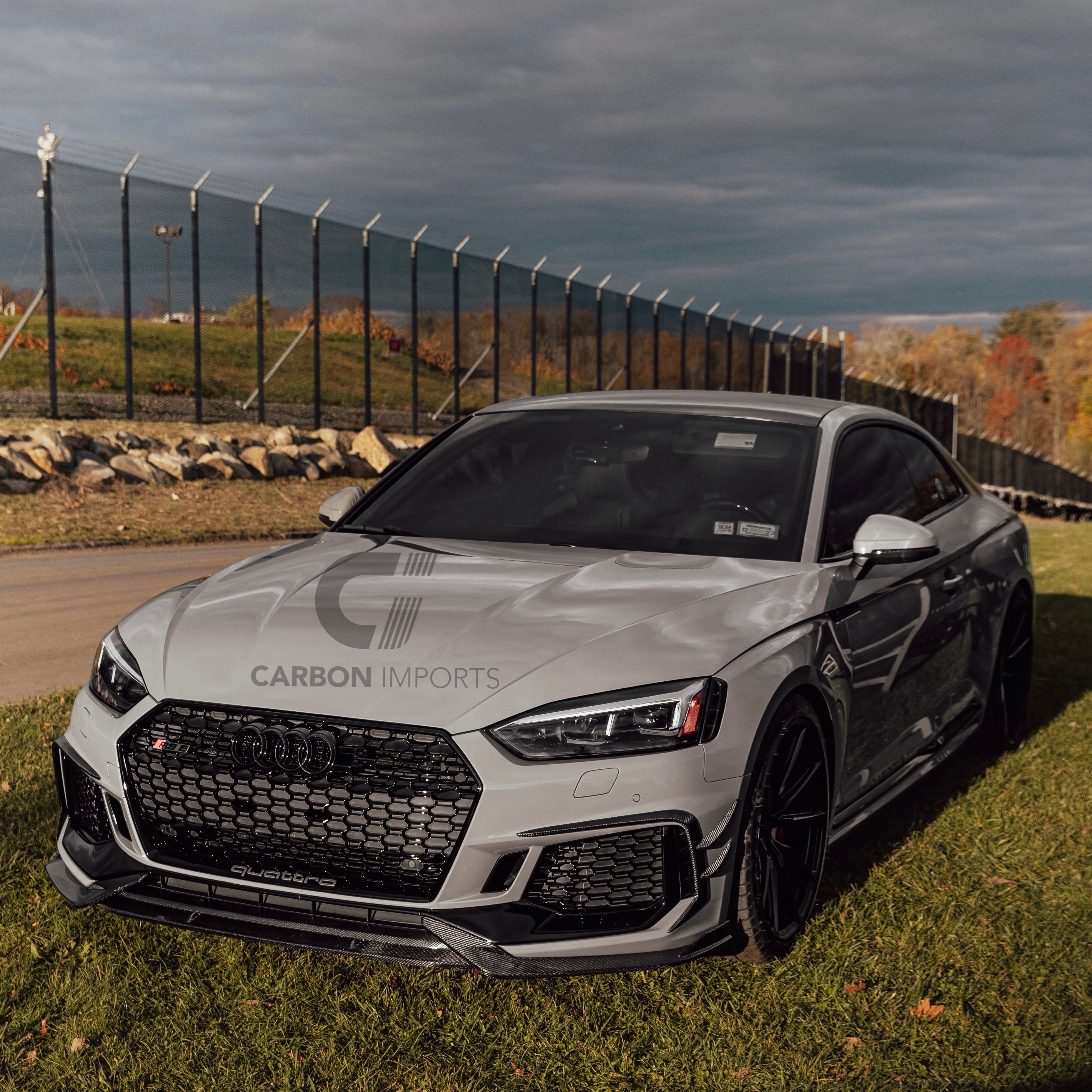 Audi RS5 B9 Carbon Fiber Front Fog Canards 2017-2019