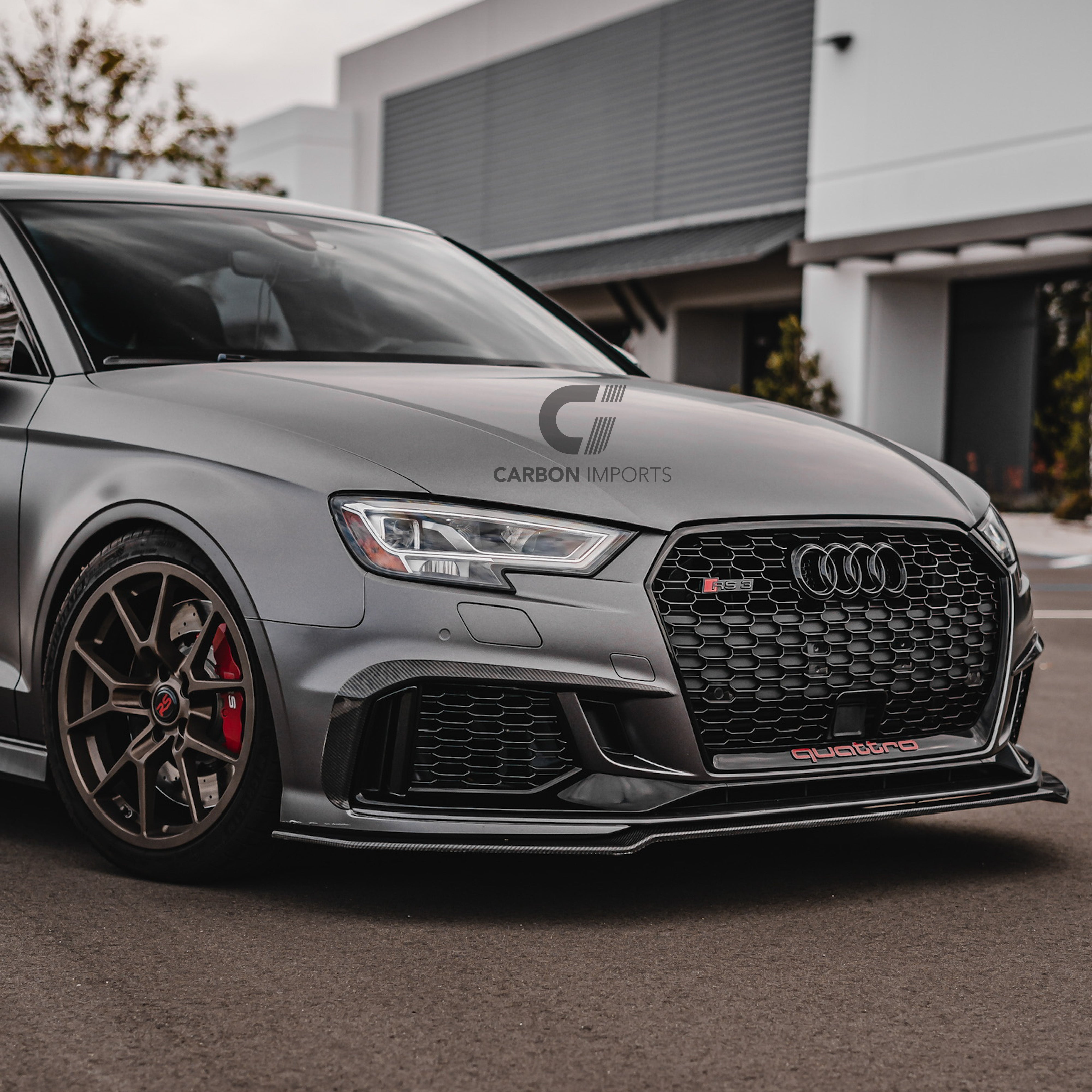 Audi RS3 8V Carbon Fiber Fog Canards 2017-2020