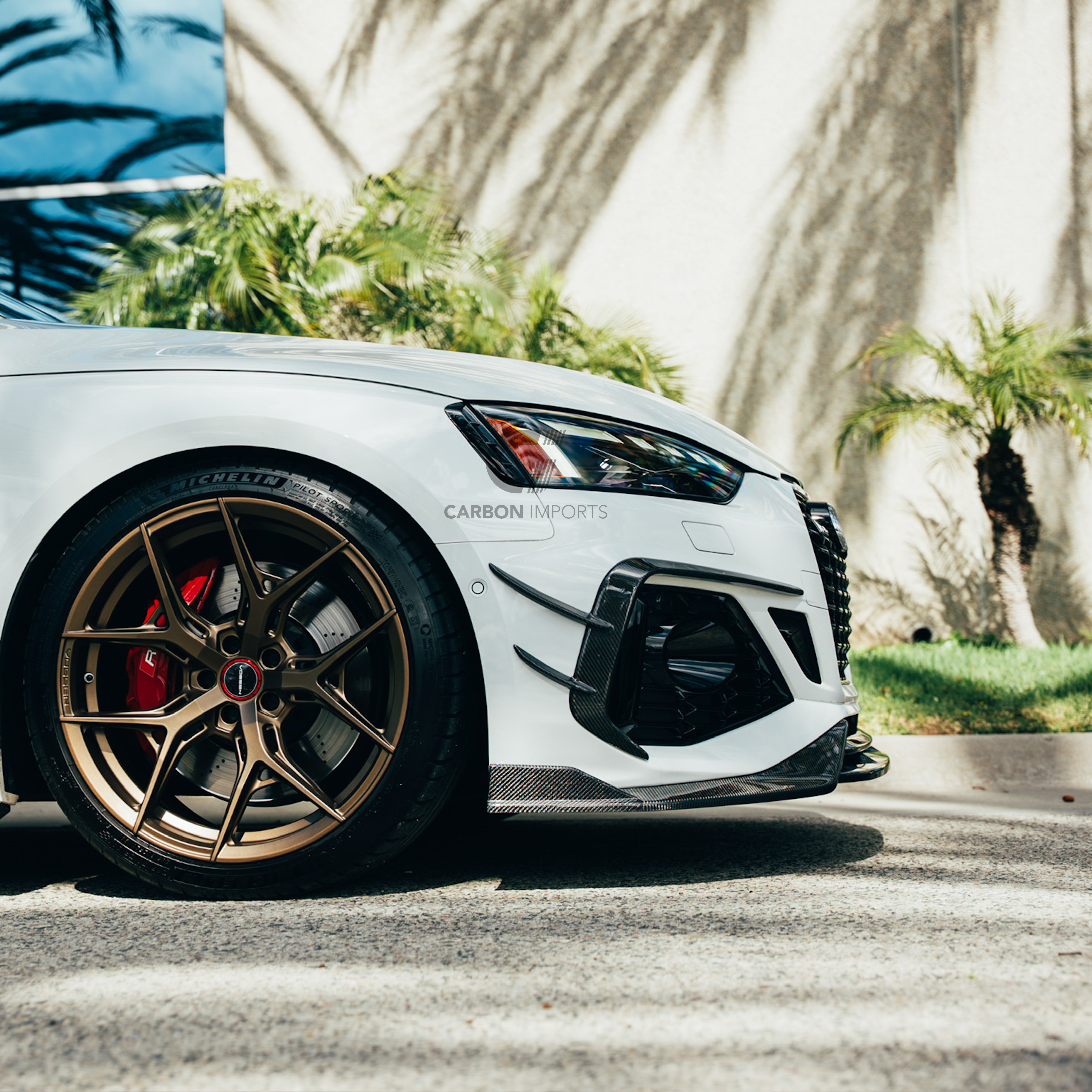 Audi RS5 B9.5 Carbon Fiber Front Fog Canards 2020-2025