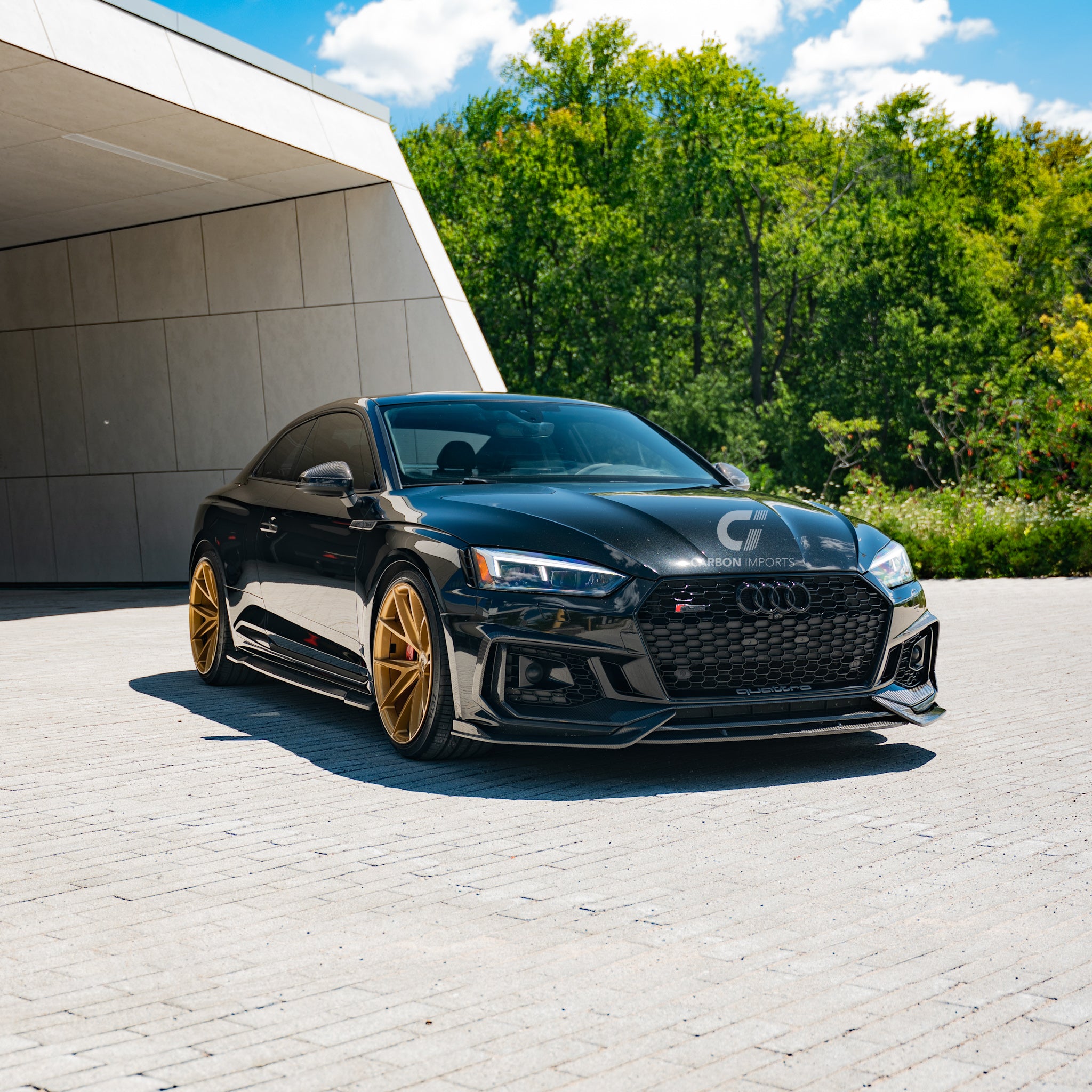 Audi RS5 B9 Carbon Fiber Fog Canards 2017-2019 V2