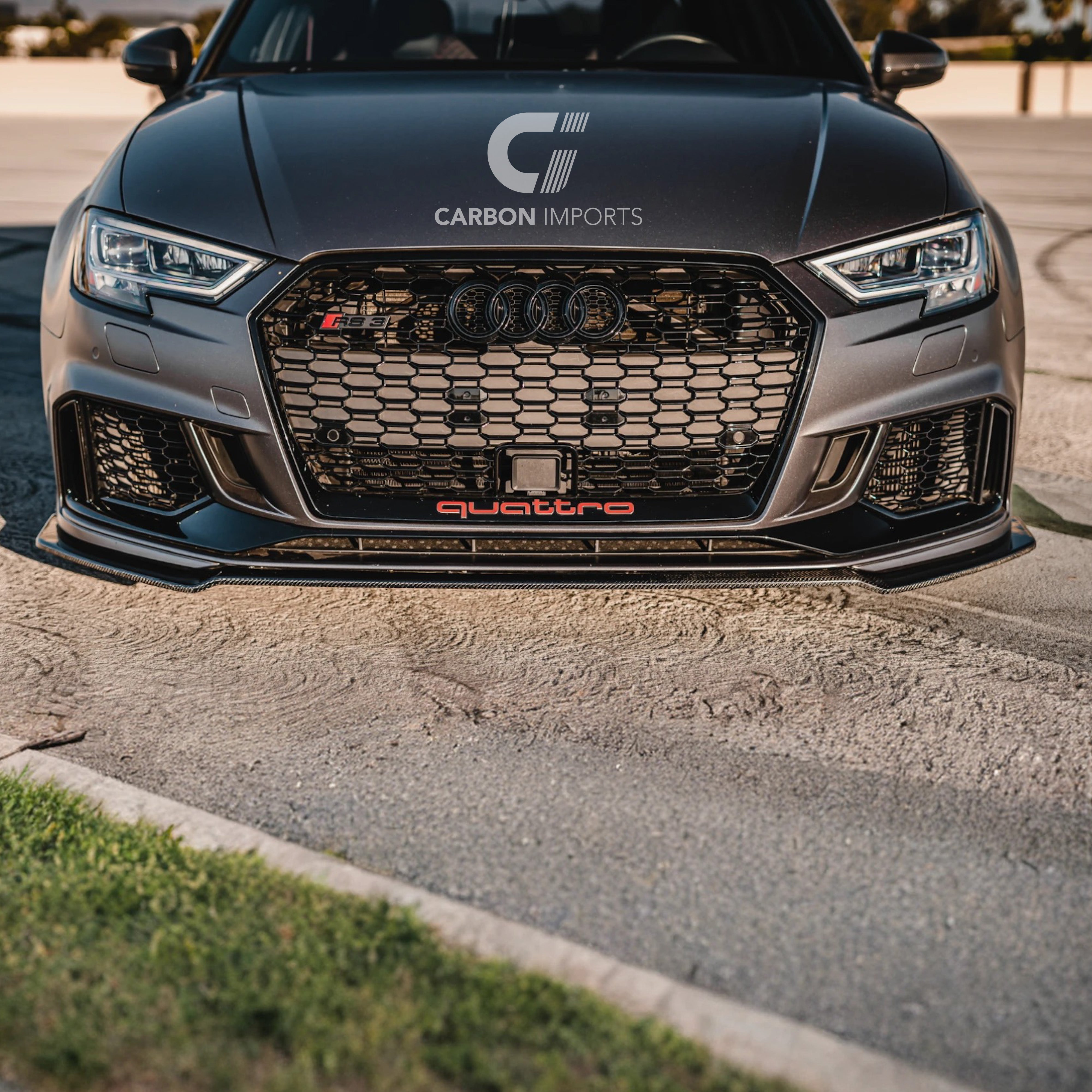 Audi RS3 8V Carbon Fiber Front Lip 2017-2020