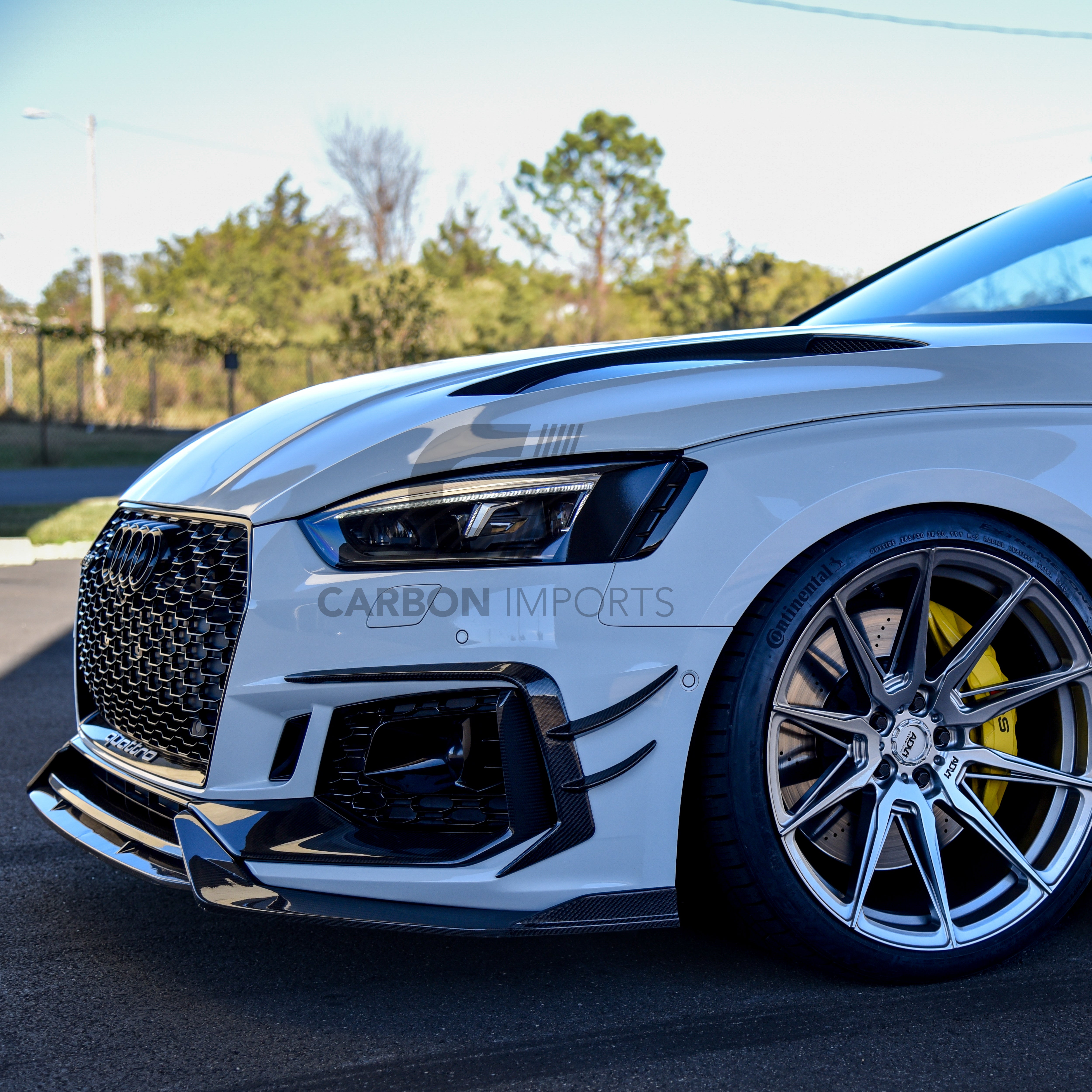 Audi RS5 B9 Carbon Fiber Front Fog Canards 2017-2019