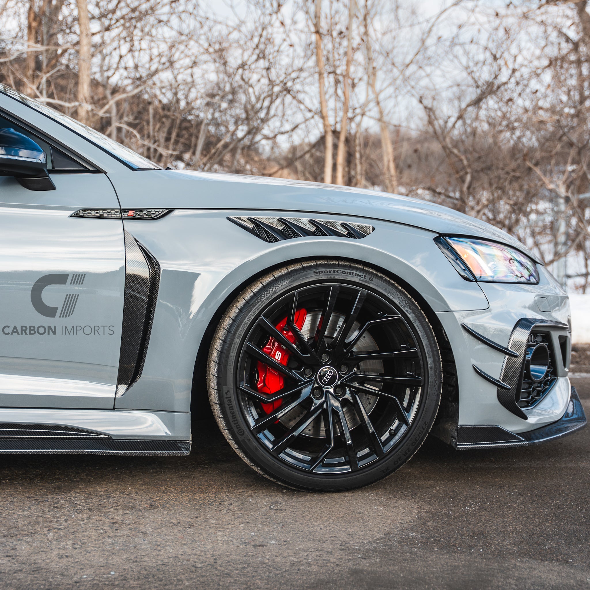 Audi RS5 B9/B9.5 Carbon Fiber Fenders 2017-2025