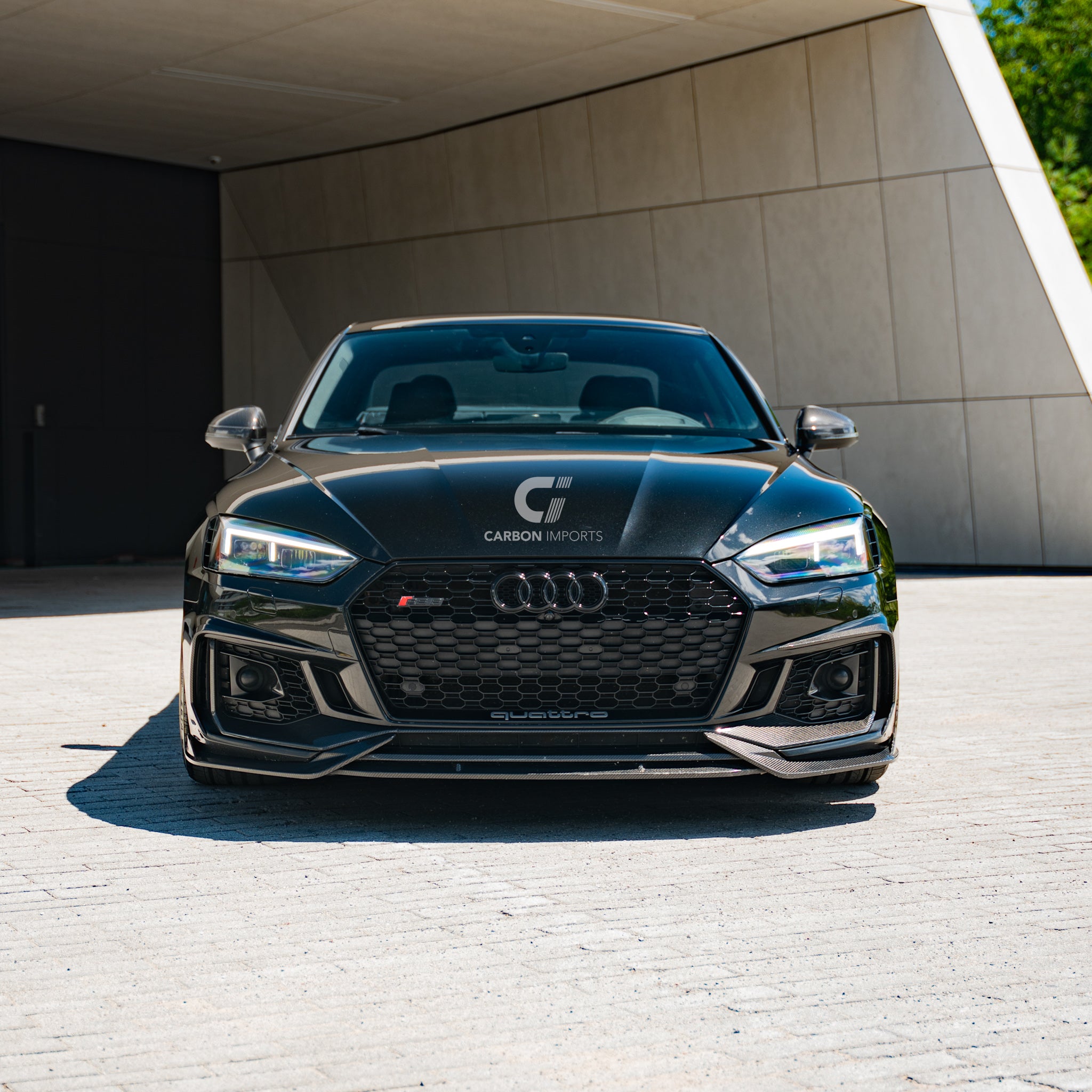 Audi RS5 B9 Carbon Fiber Fog Canards 2017-2019 V2