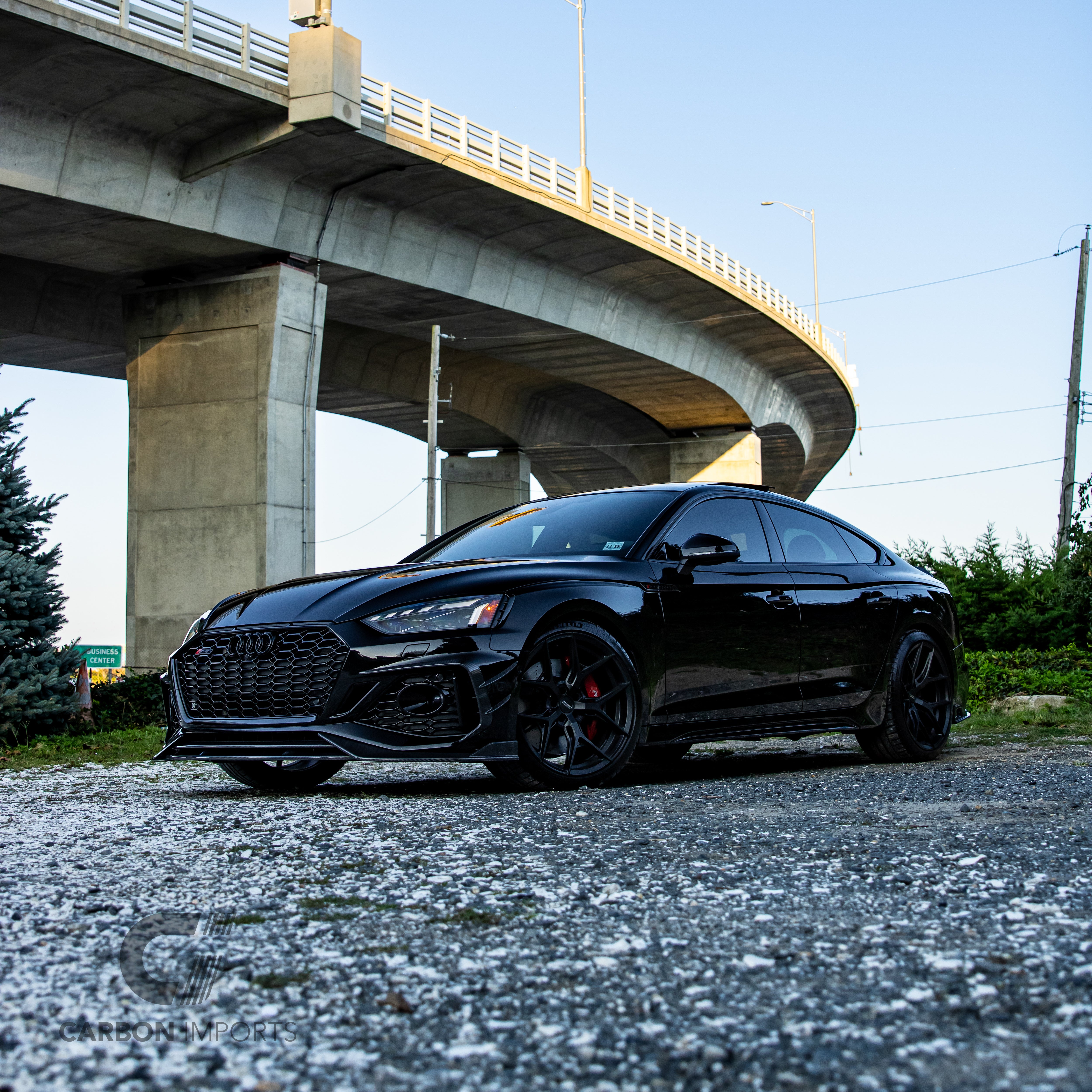 Audi RS5 B9.5 Carbon Fiber Front Fog Canards 2020-2025