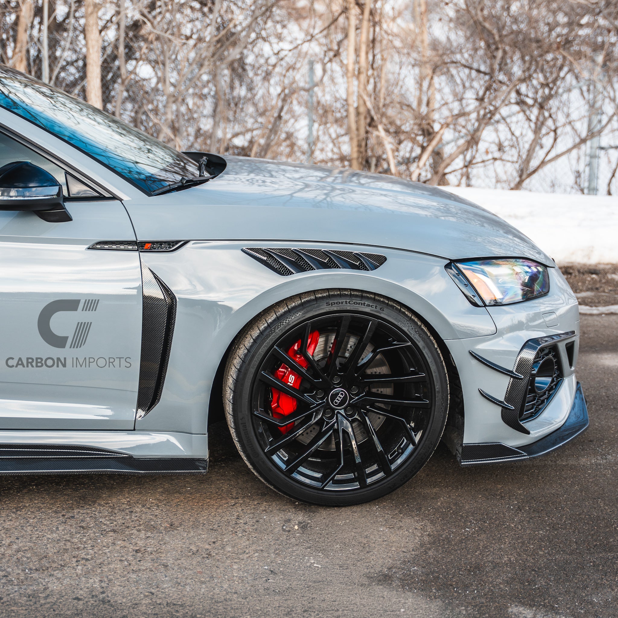 Audi RS5 B9/B9.5 Carbon Fiber Fenders 2017-2025