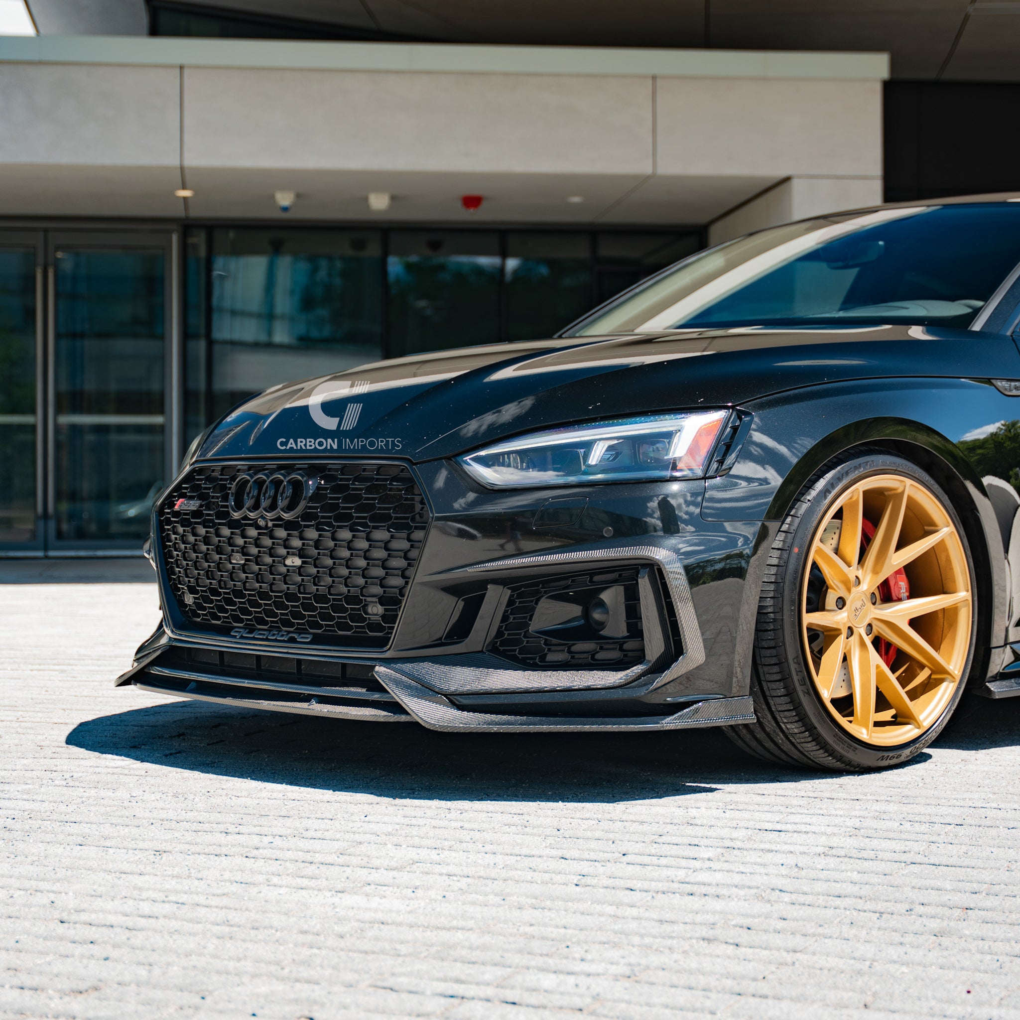 Audi RS5 B9 Carbon Fiber Fog Canards 2017-2019 V2