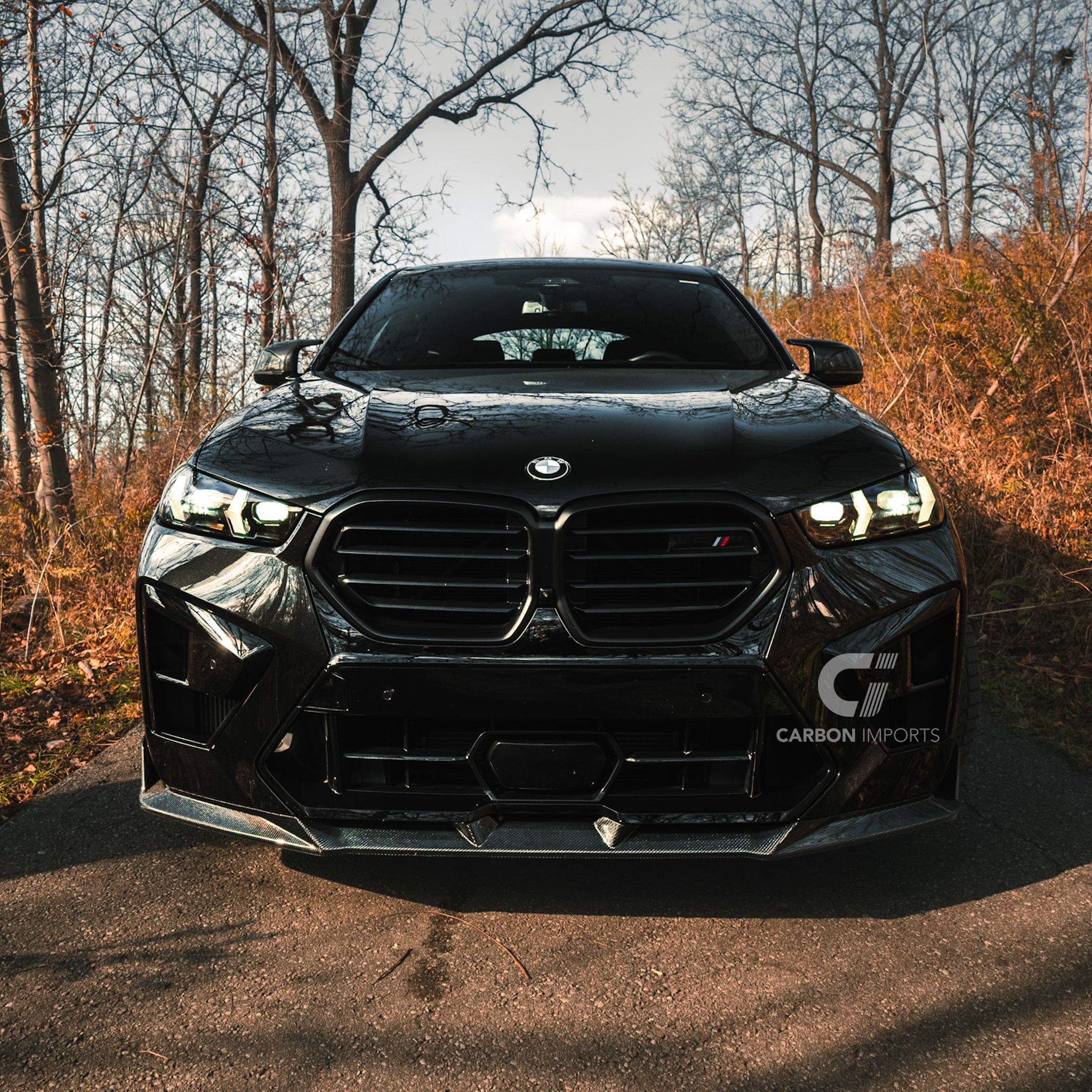 BMW X6M G06 Carbon Fiber Front Lip 2024-2026