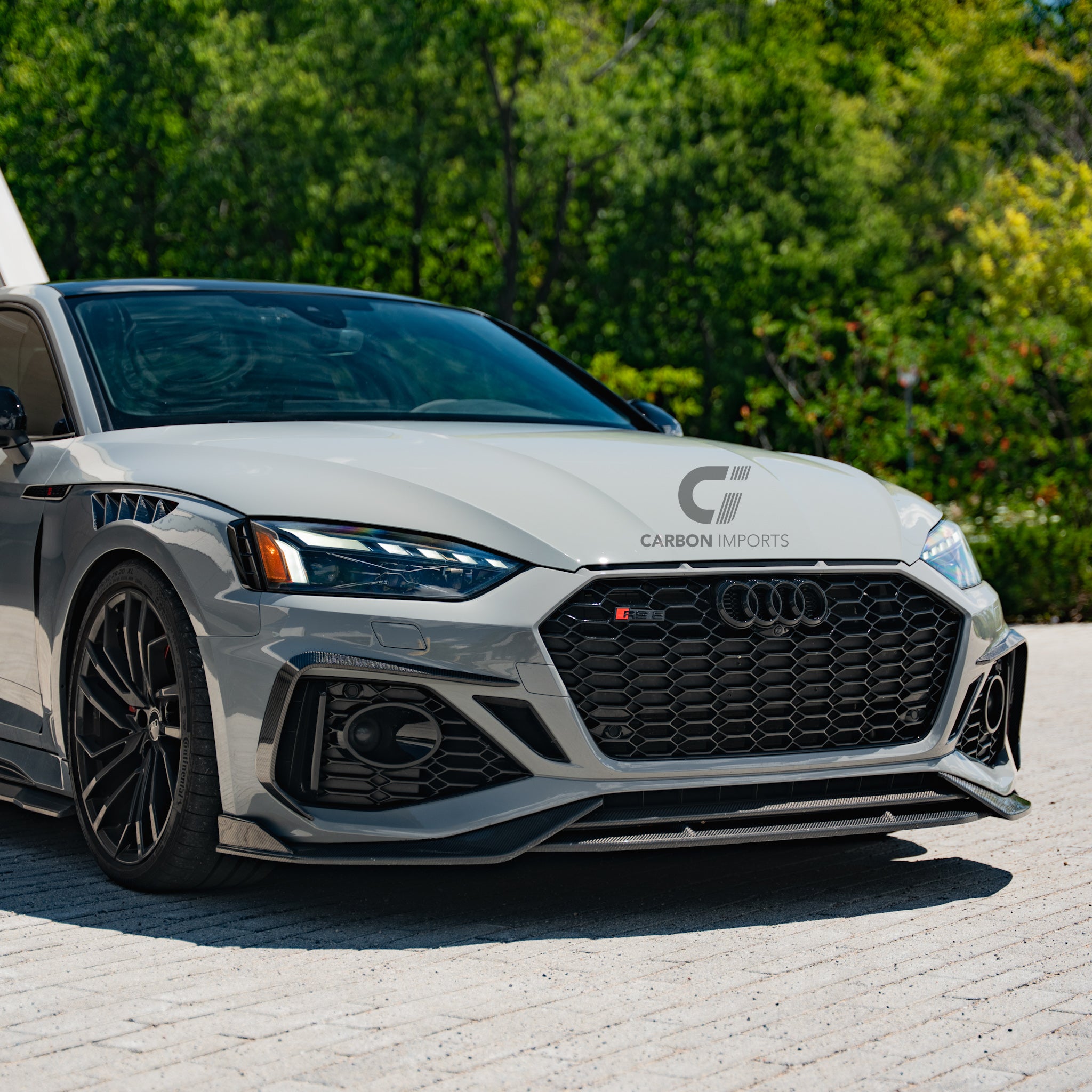 Audi RS5 B9.5 Carbon Fiber Fog Canards 2020-2025 V2