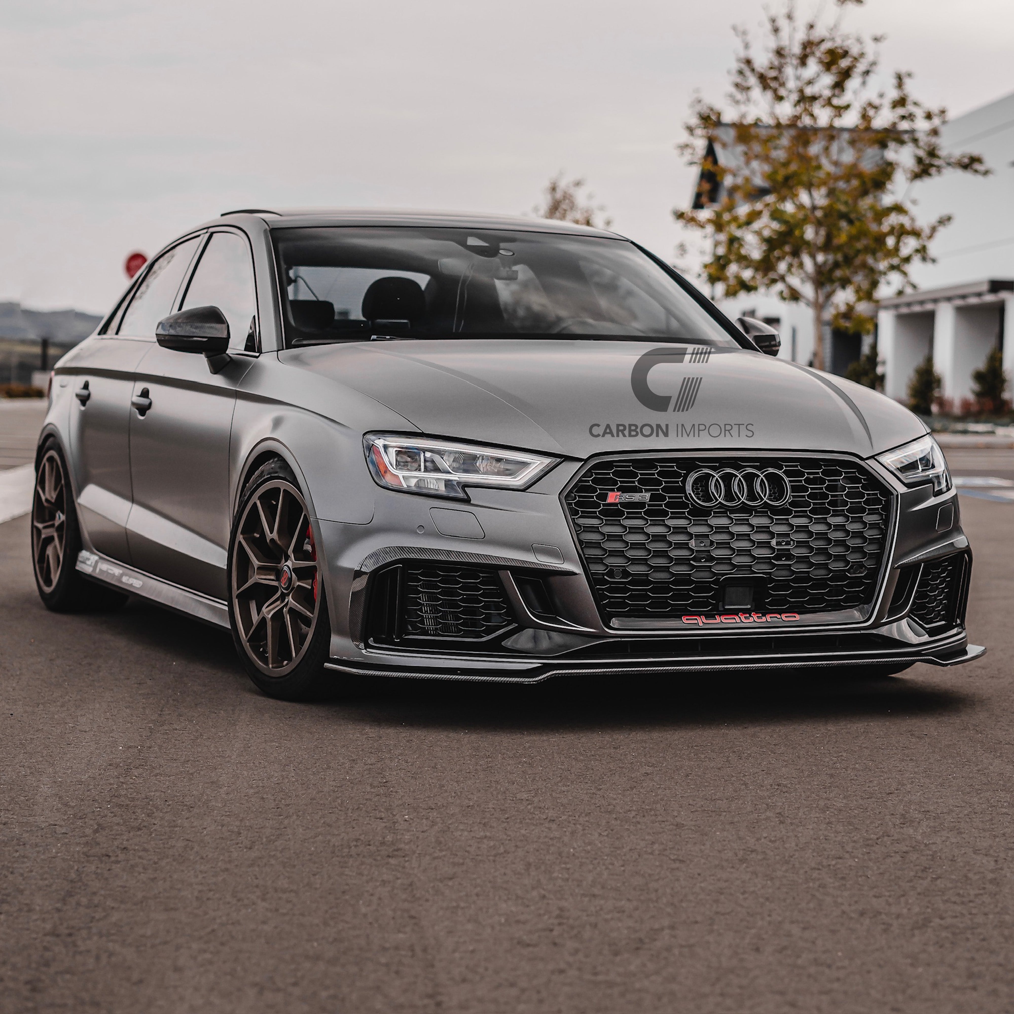 Audi RS3 8V Carbon Fiber Fog Canards 2017-2020