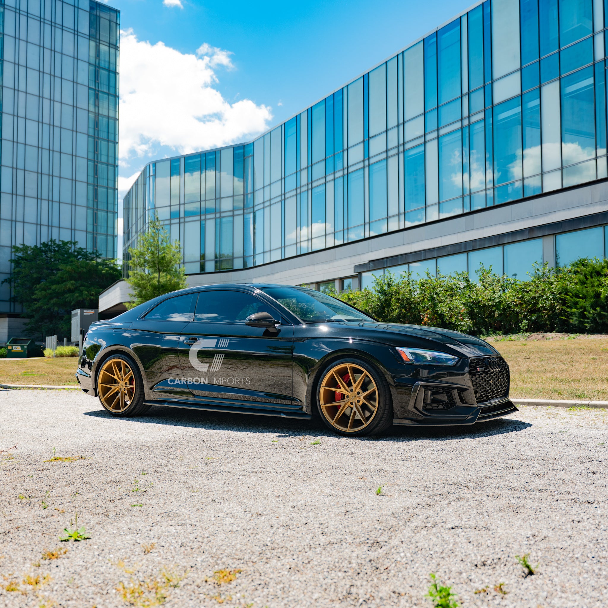 Audi RS5 B9 Carbon Fiber Fog Canards 2017-2019 V2
