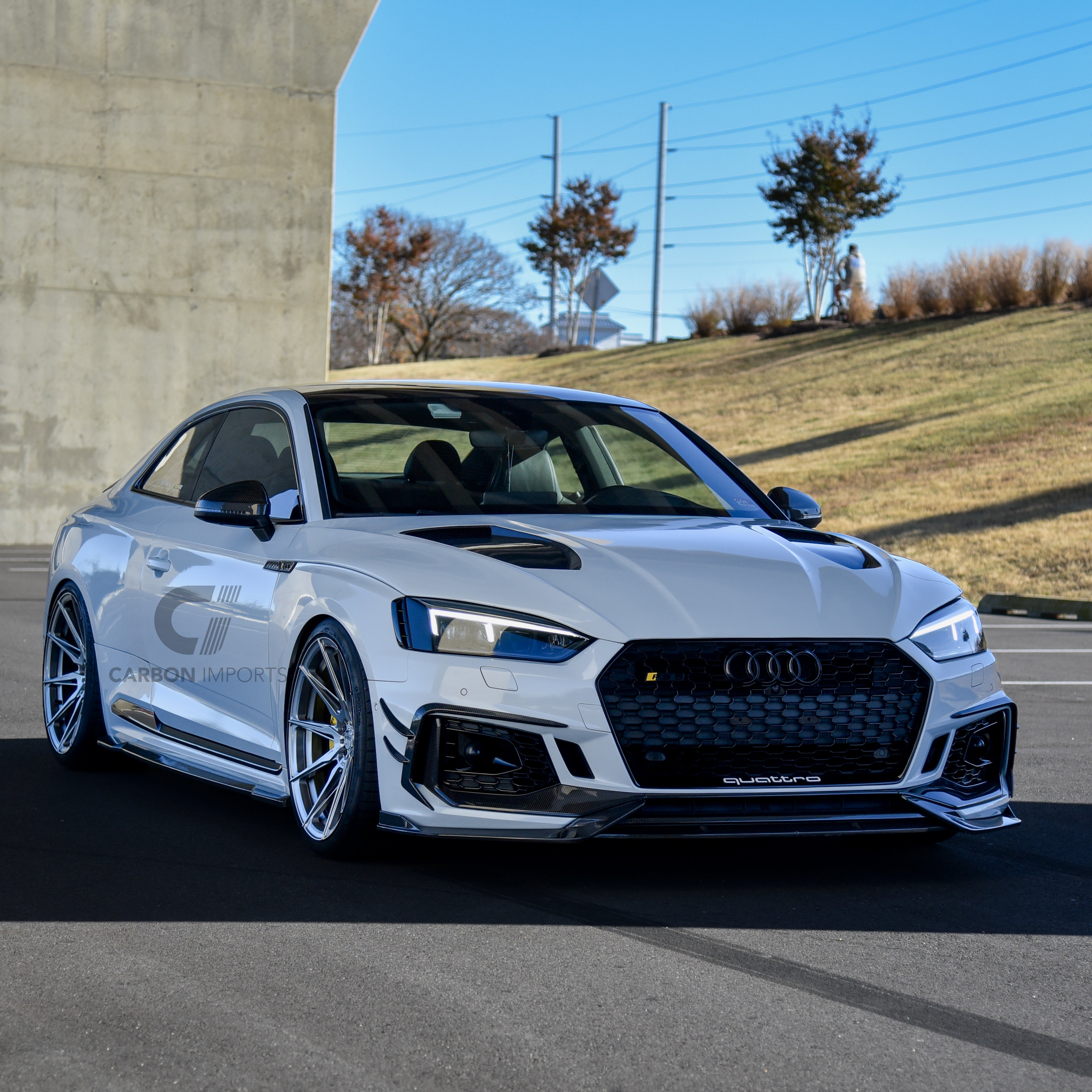 Audi RS5 B9 Carbon Fiber Front Lip 2017-2019