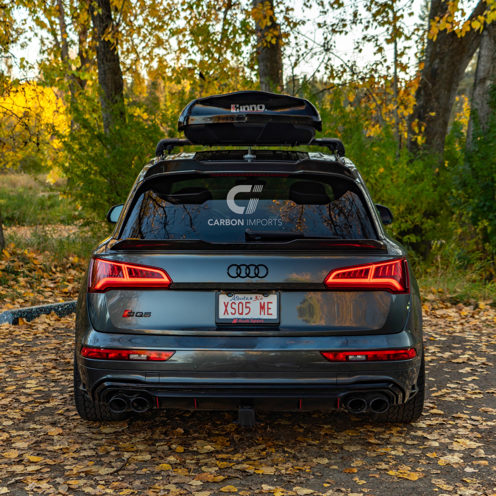 Audi Q5 S-Line/ SQ5 Carbon Fiber Roof Spoiler 2018-2023
