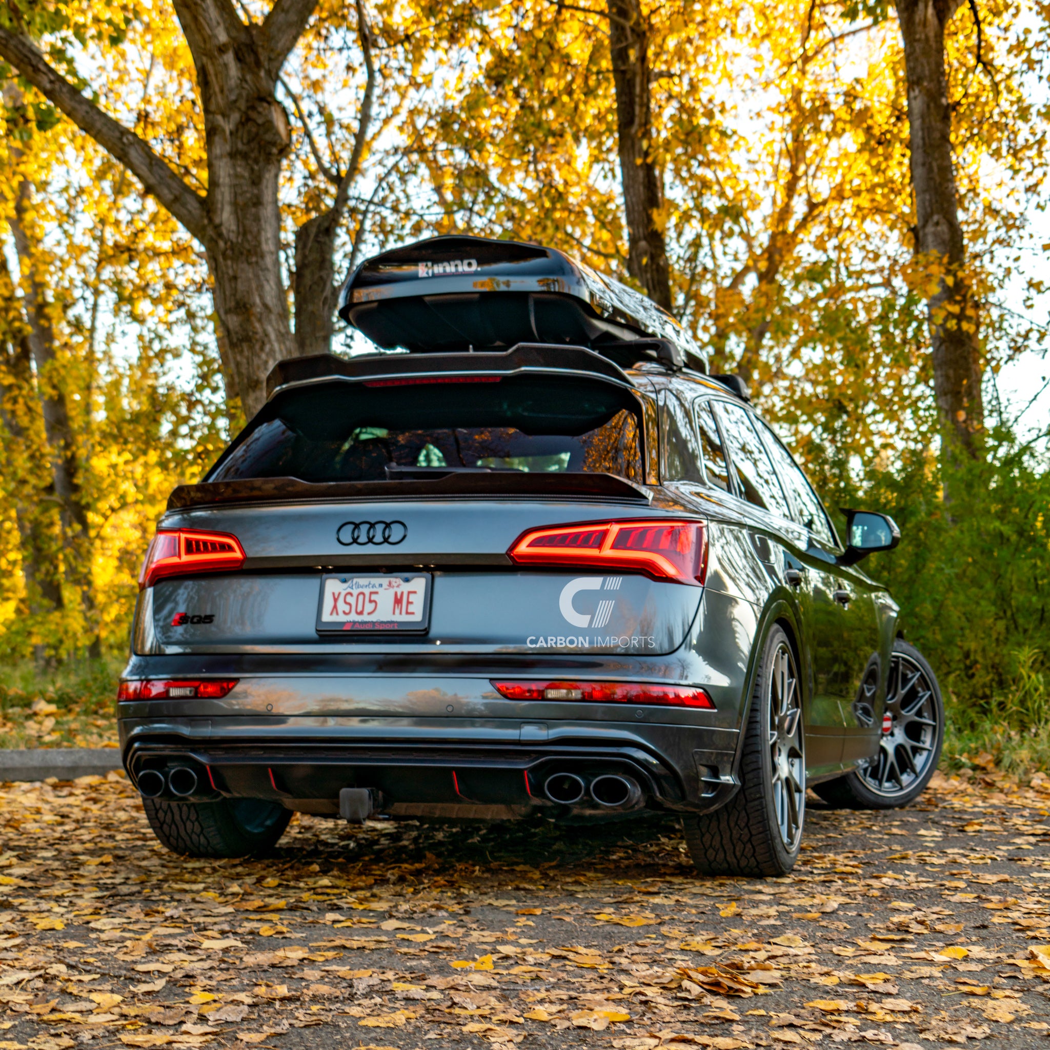 Audi Q5 S-Line/ SQ5 Carbon Fiber Roof Spoiler 2018-2023