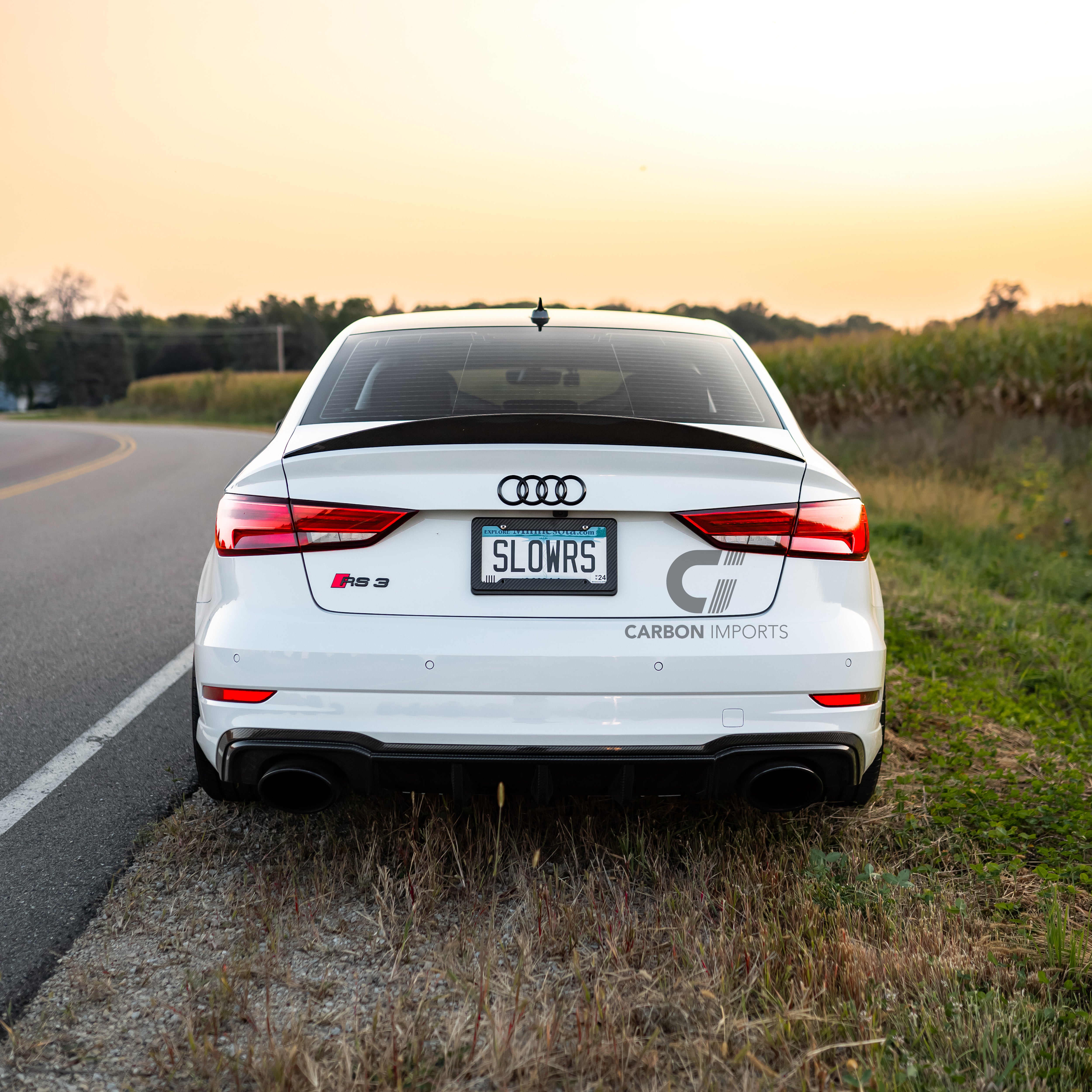 Audi RS3 8V Carbon Fiber Rear Diffuser 2017-2020