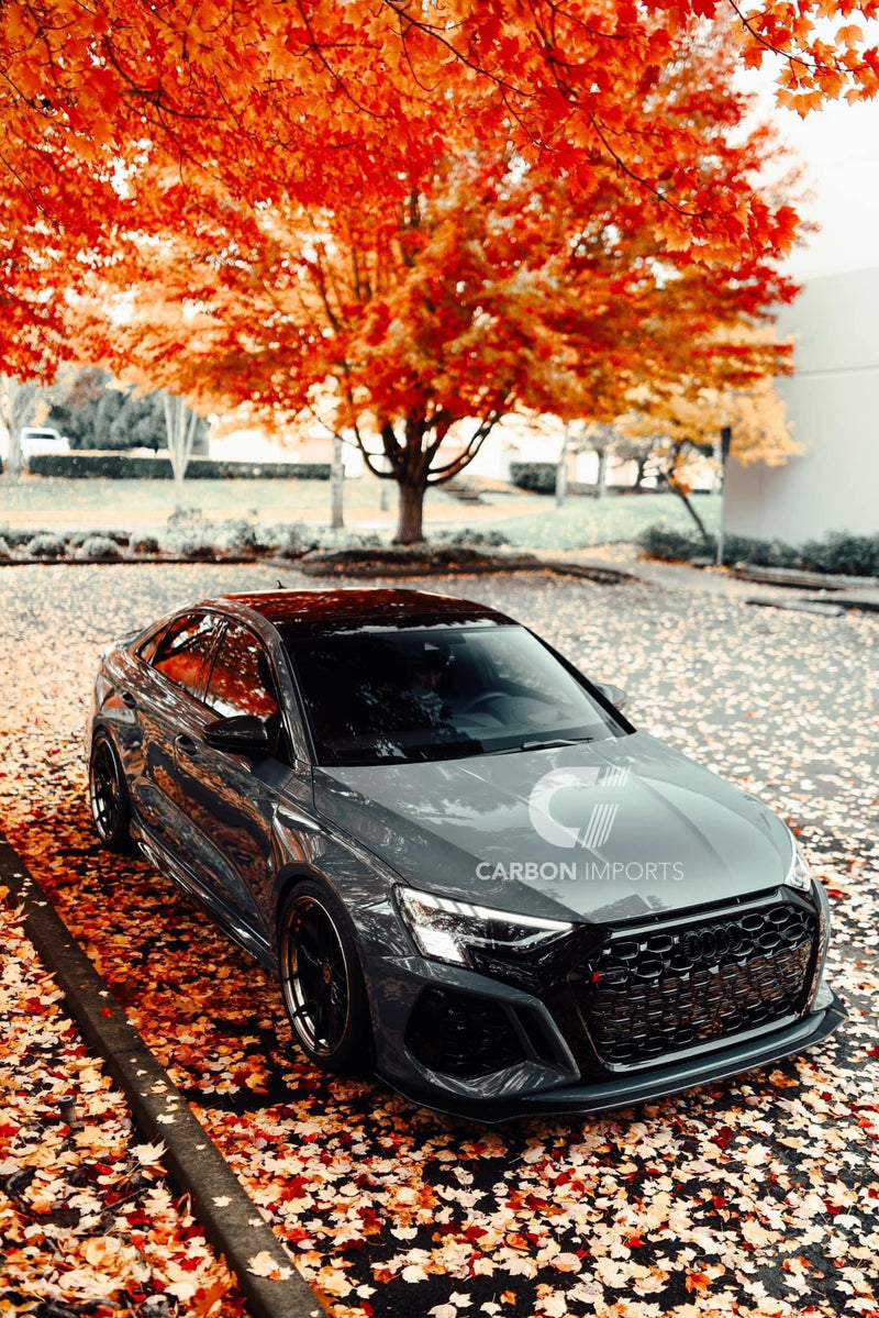 Audi RS3 Carbon Front Fiber Lip 2021-2024