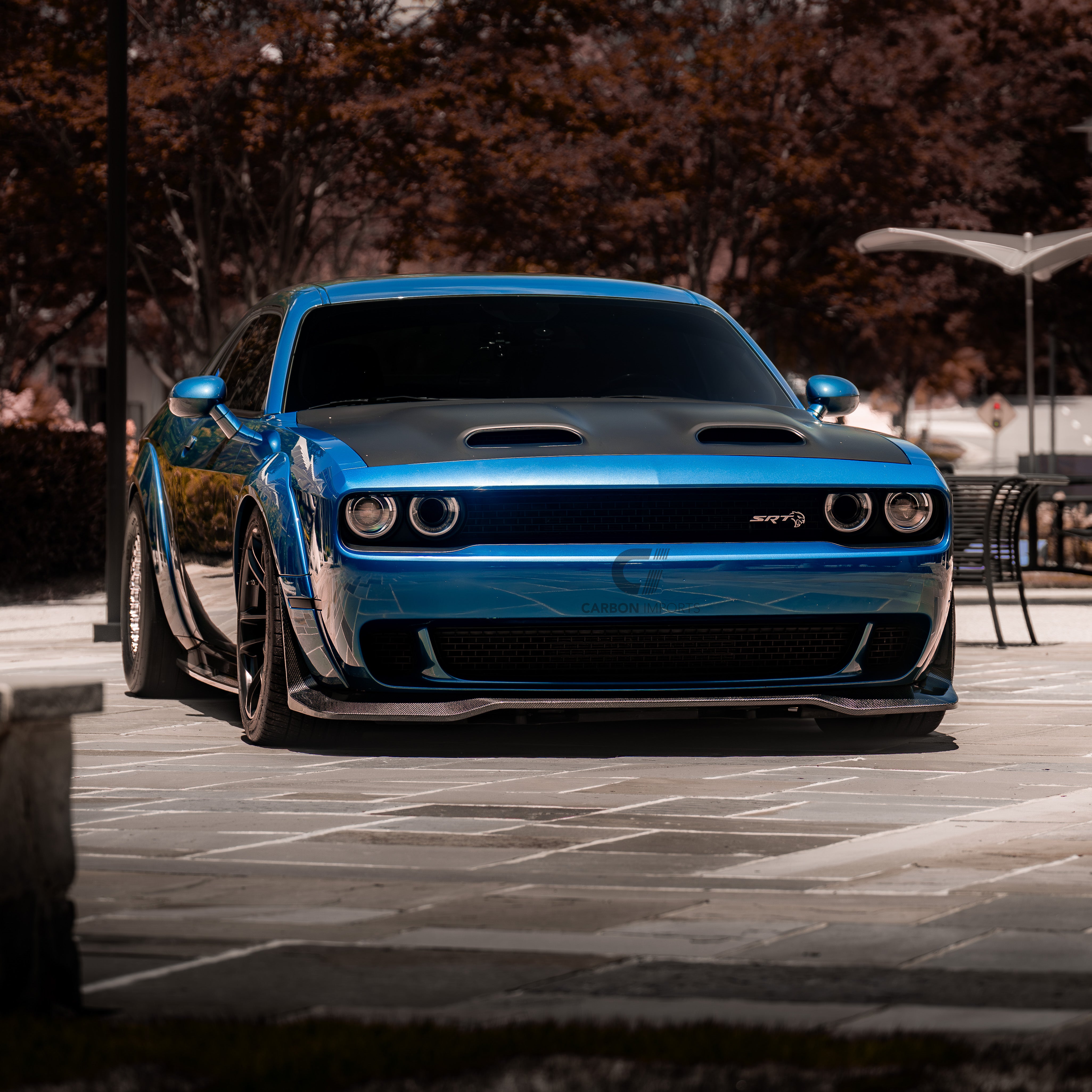 Dodge Challenger Hellcat Carbon Fiber Front Lip