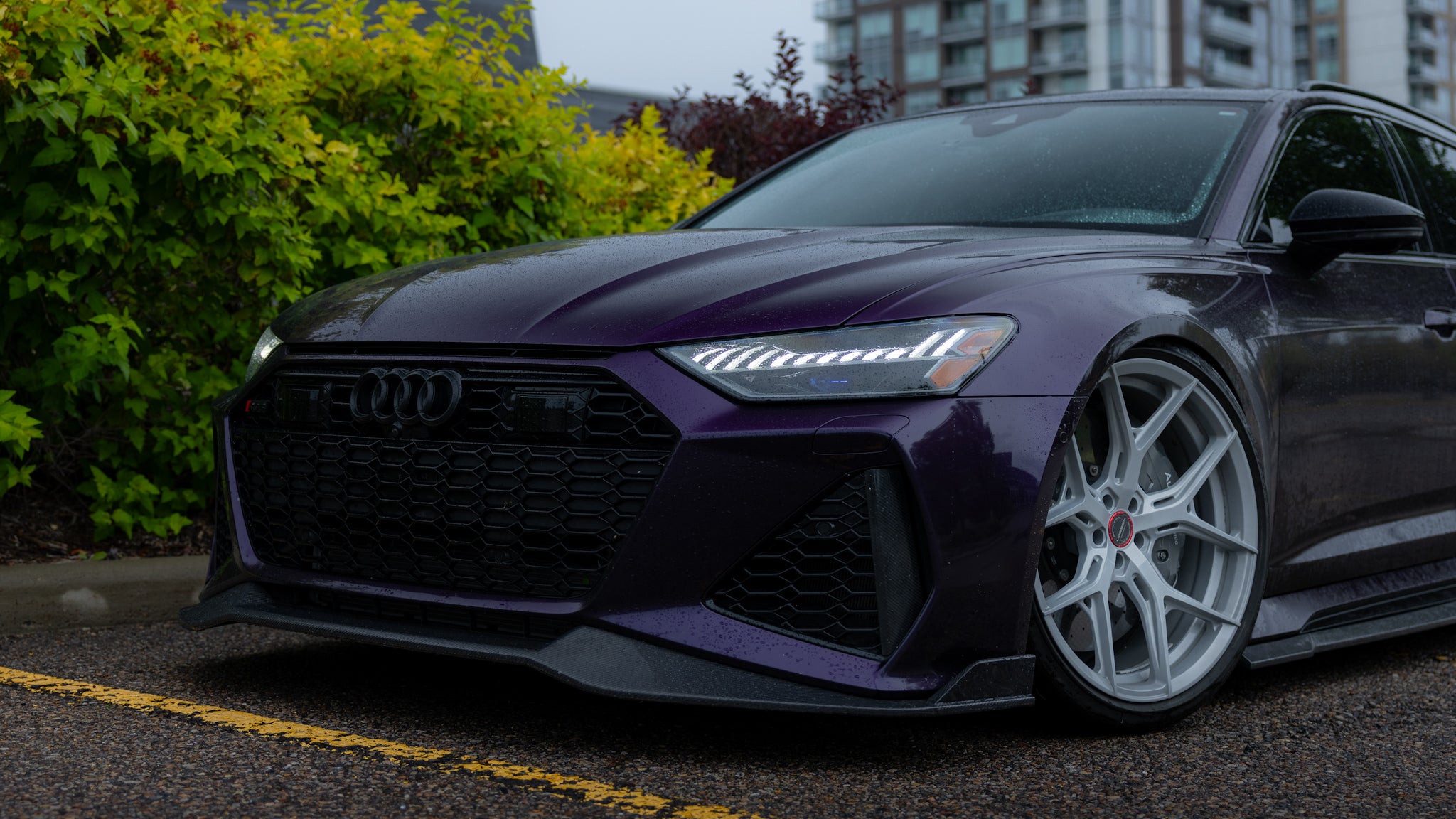 Audi C8 RS6