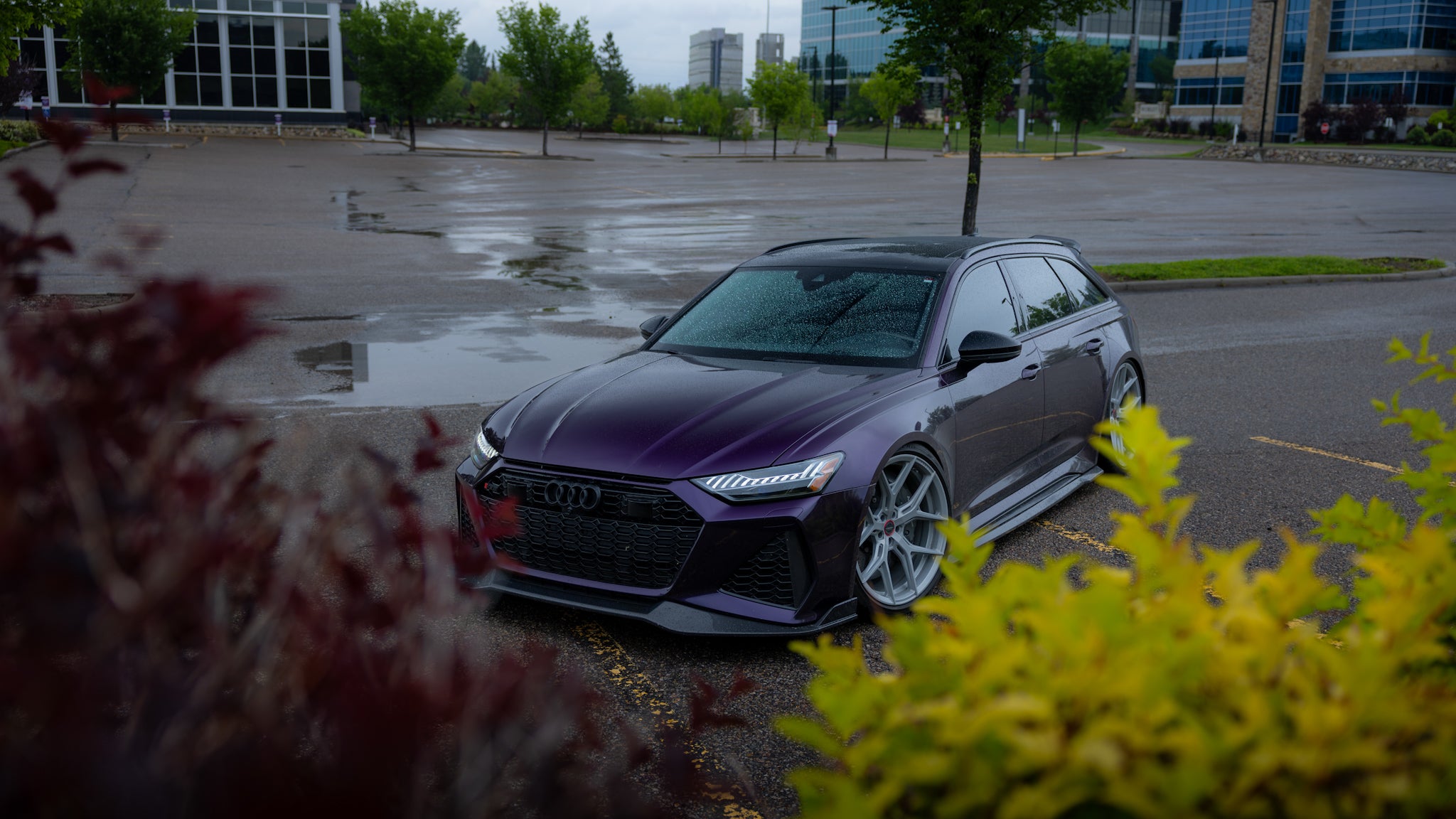 Audi C8 RS6