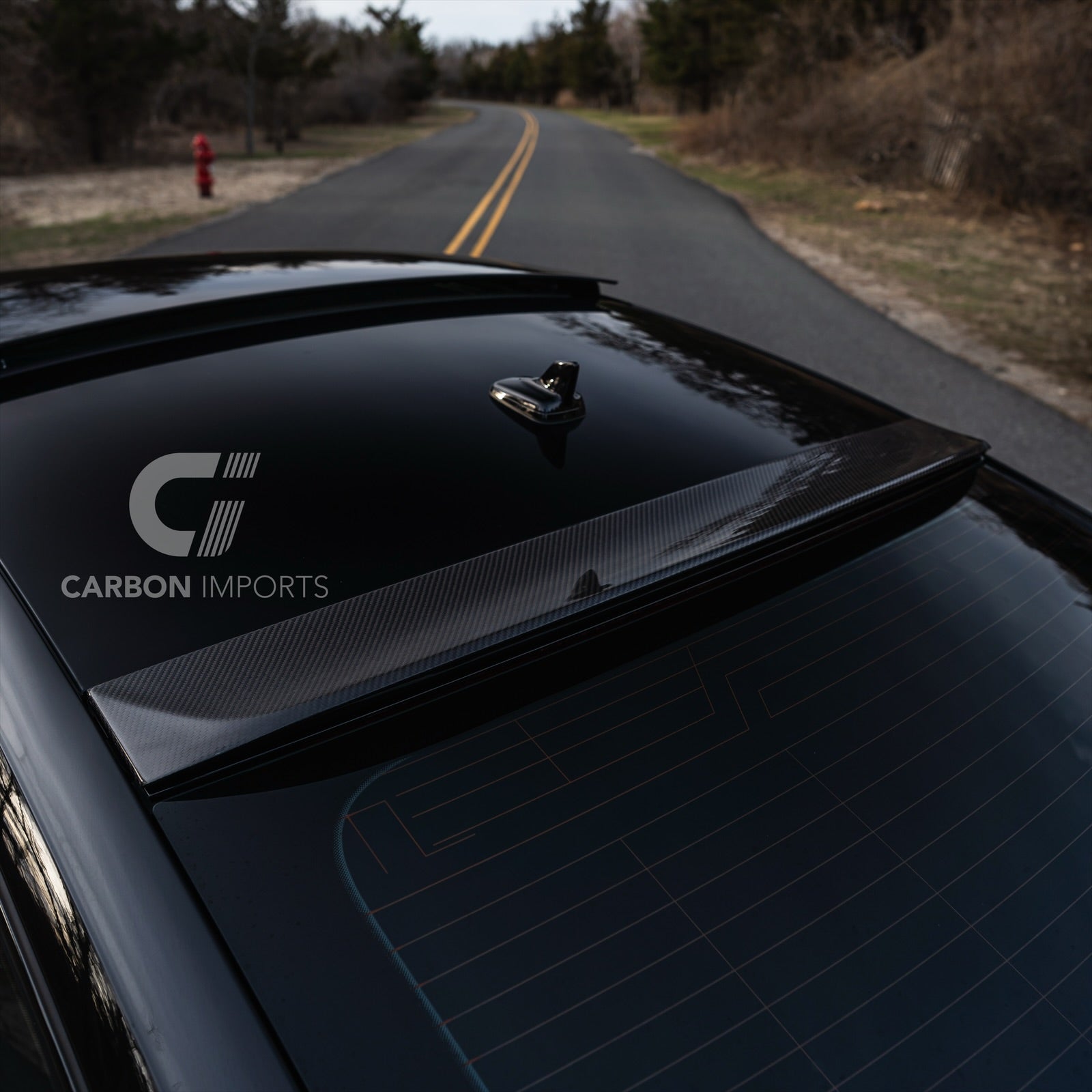Audi A5/S5/RS5 B9/B9.5 Carbon Fiber Roof Spoiler 2017-2025 V1